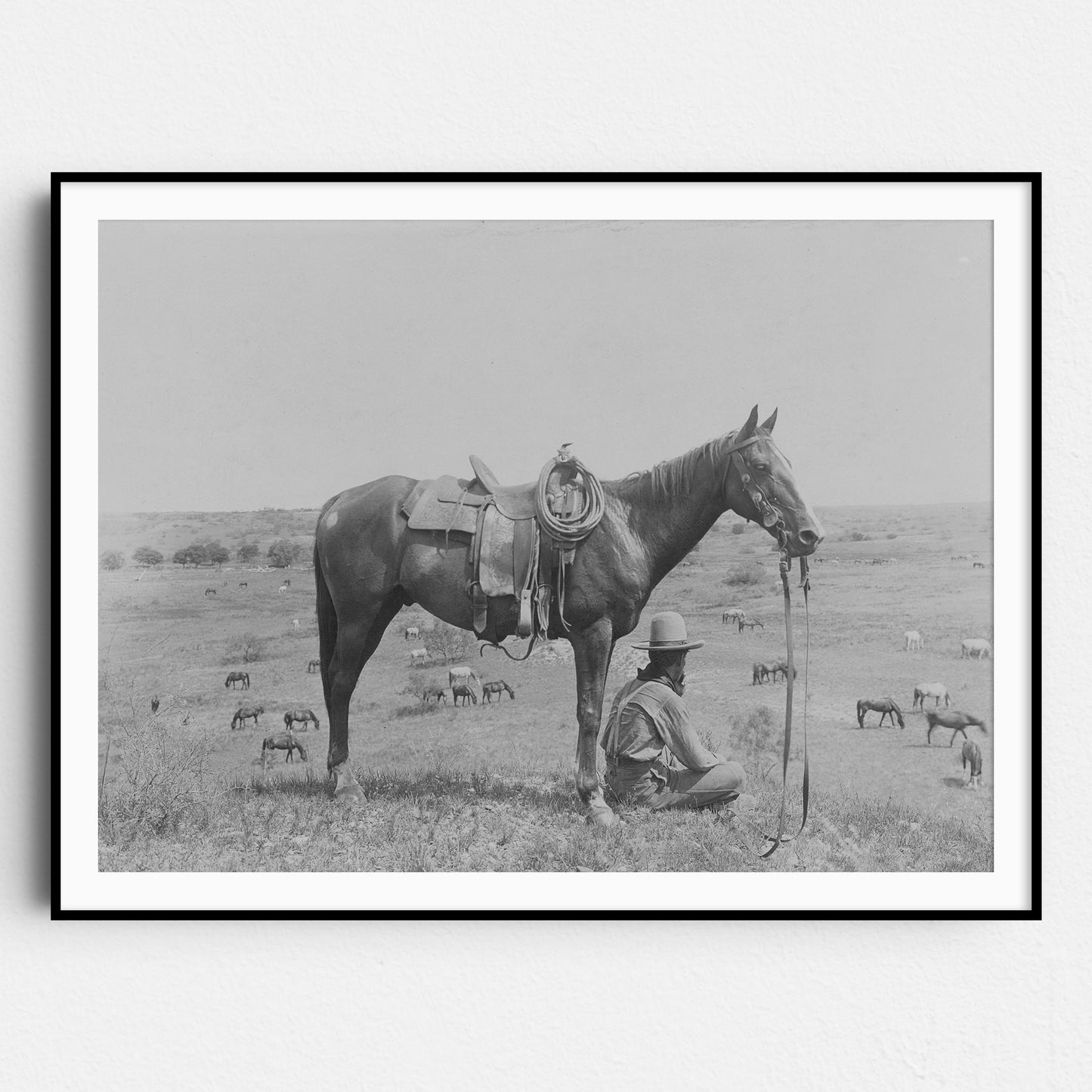 American Cowboy 1910