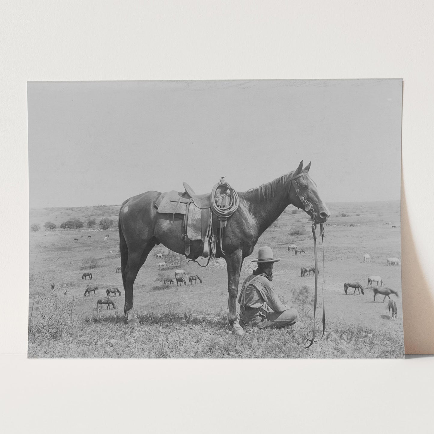 American Cowboy 1910