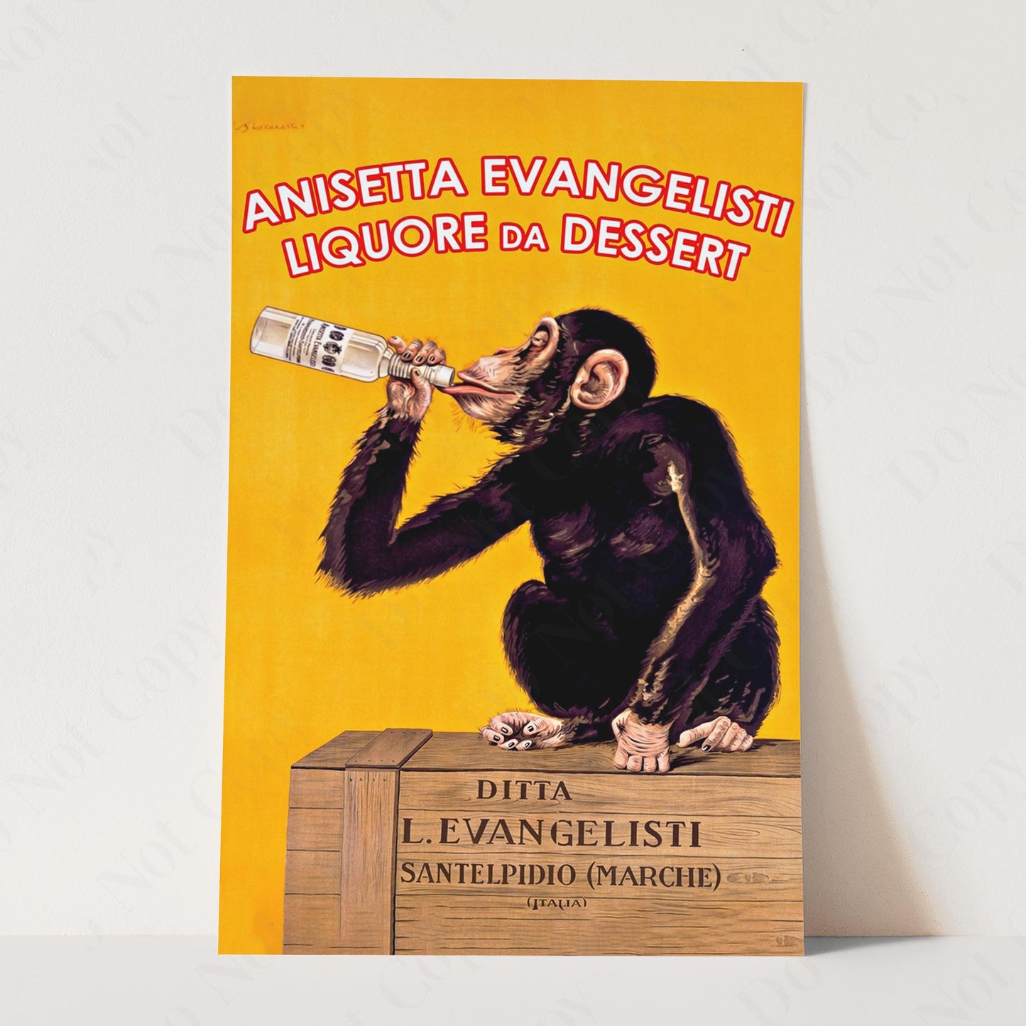 Anisetta Evangelisti - Drinking Monkey