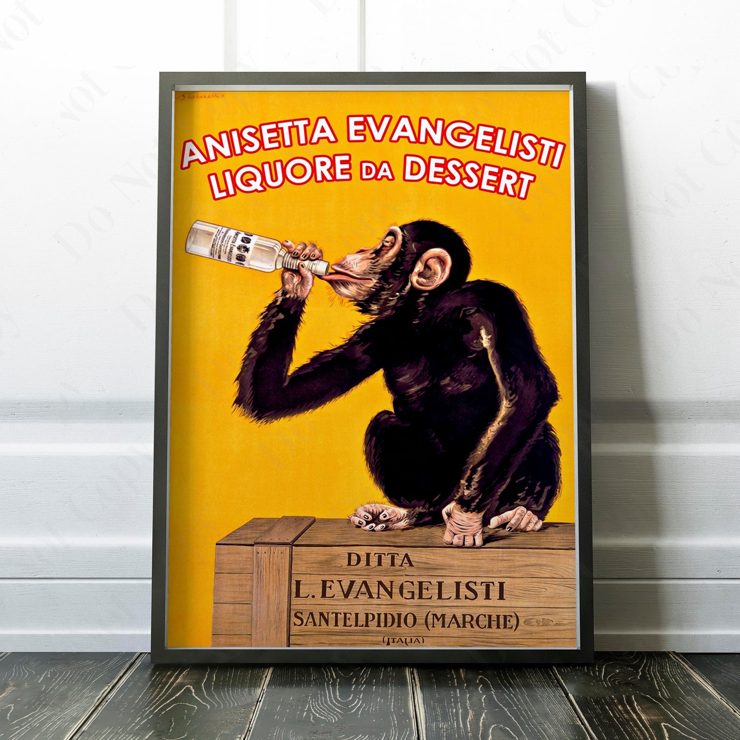 Anisetta Evangelisti - Drinking Monkey