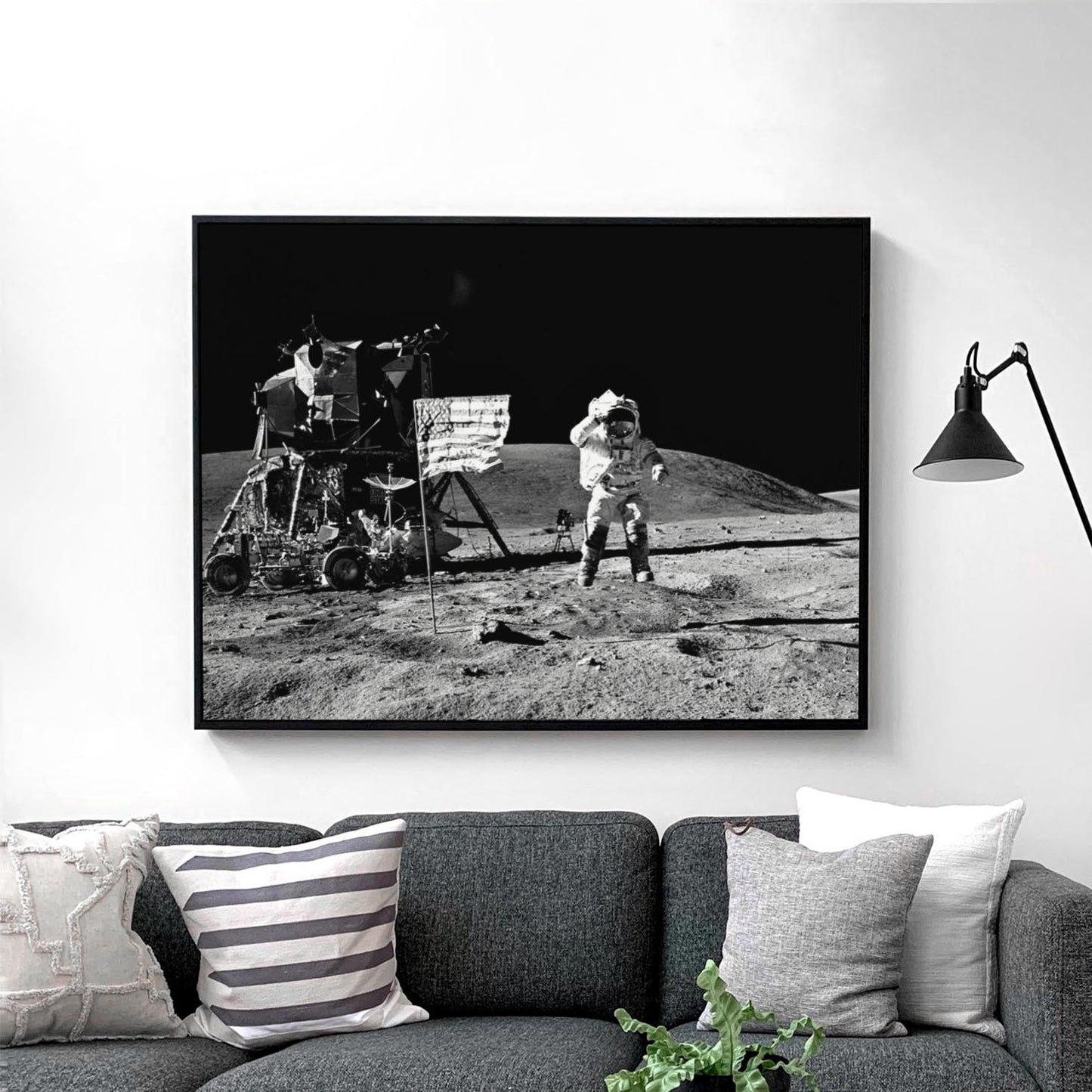Apollo 16 Astronaut