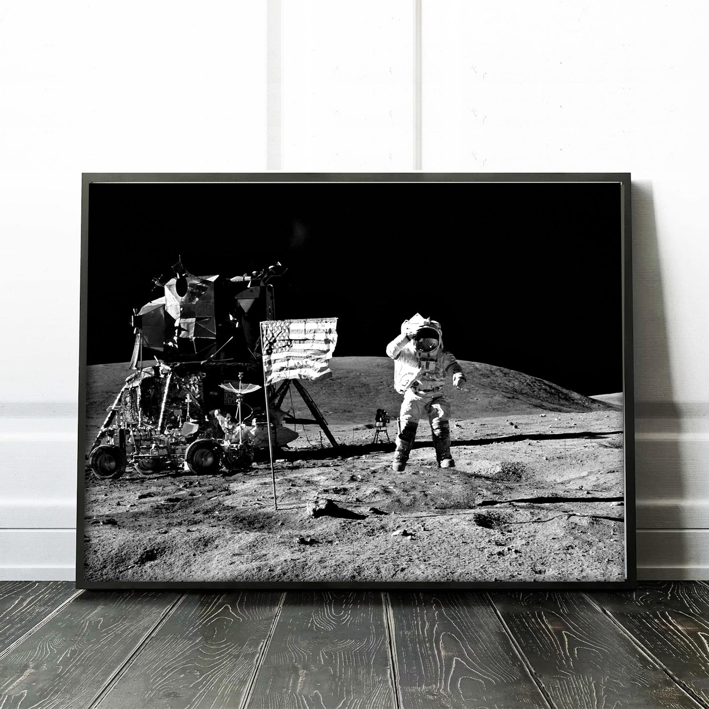 Apollo 16 Astronaut