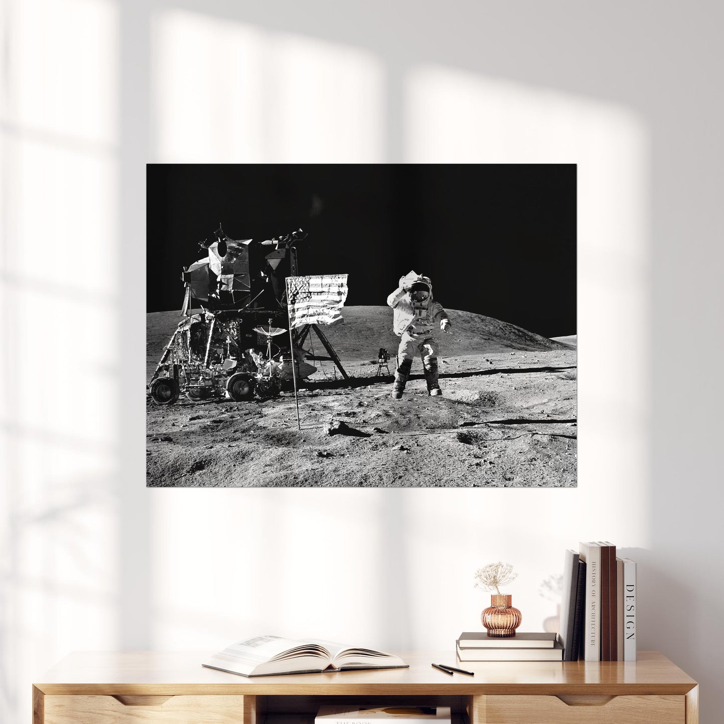 Apollo 16 Astronaut