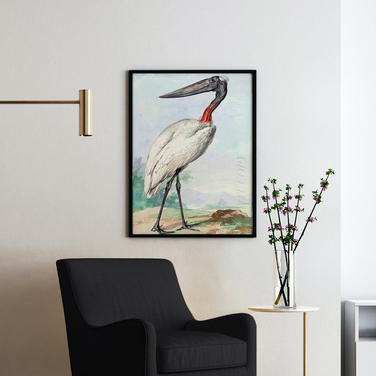 Jabiru Jabiroe Stork by Aert Schouman