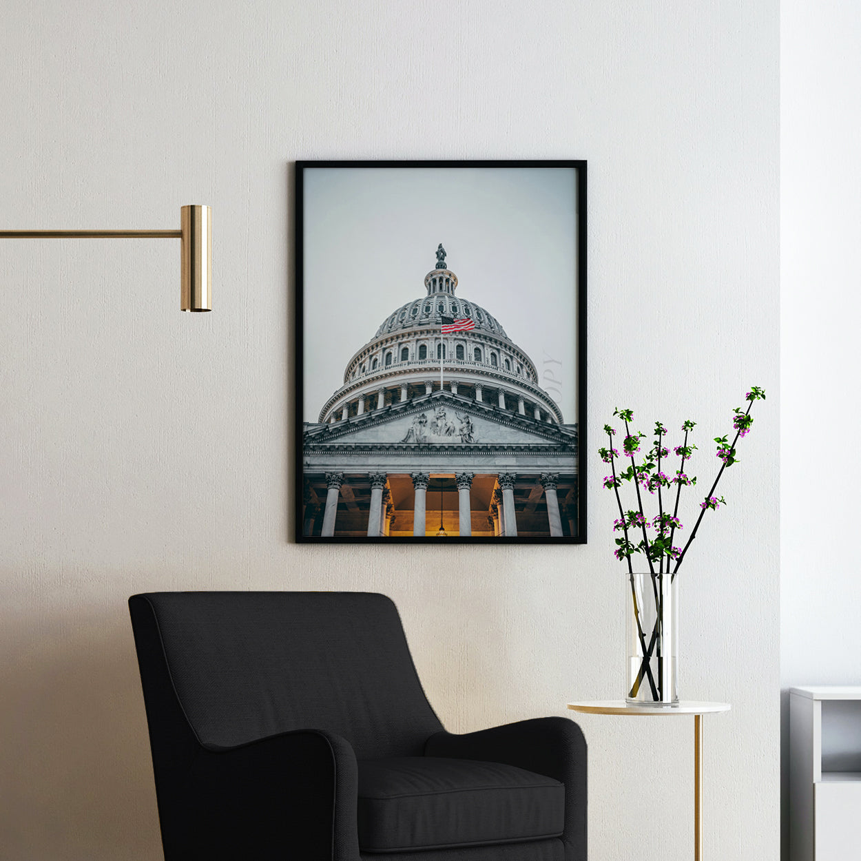 U.S. Capitol Building