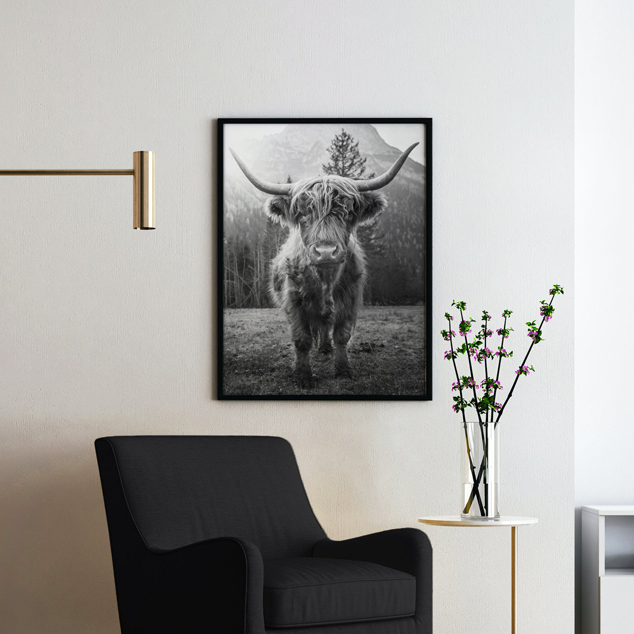 Highland Cow Scottish Cattle Black & White