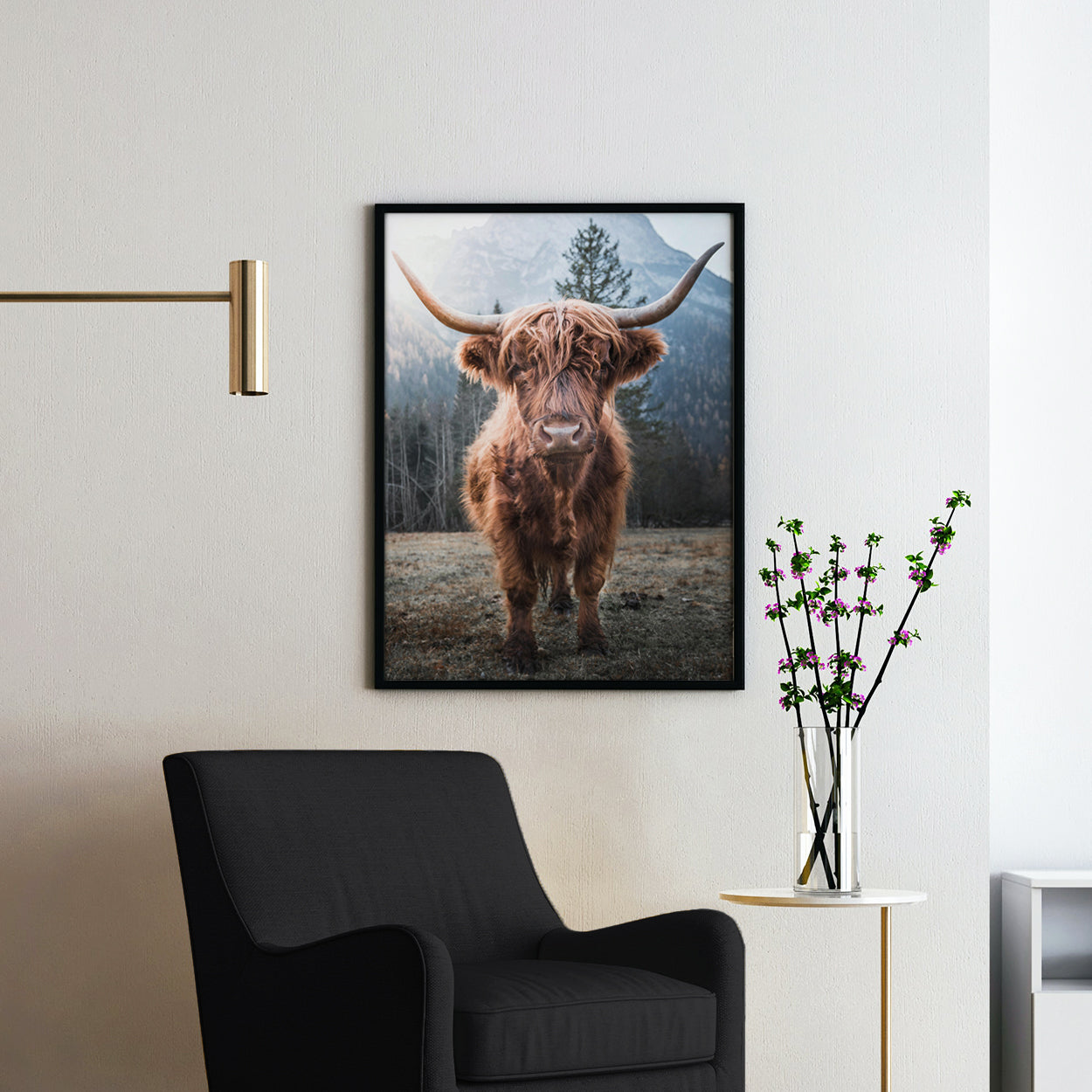 Highland Cow Scottish Cattle
