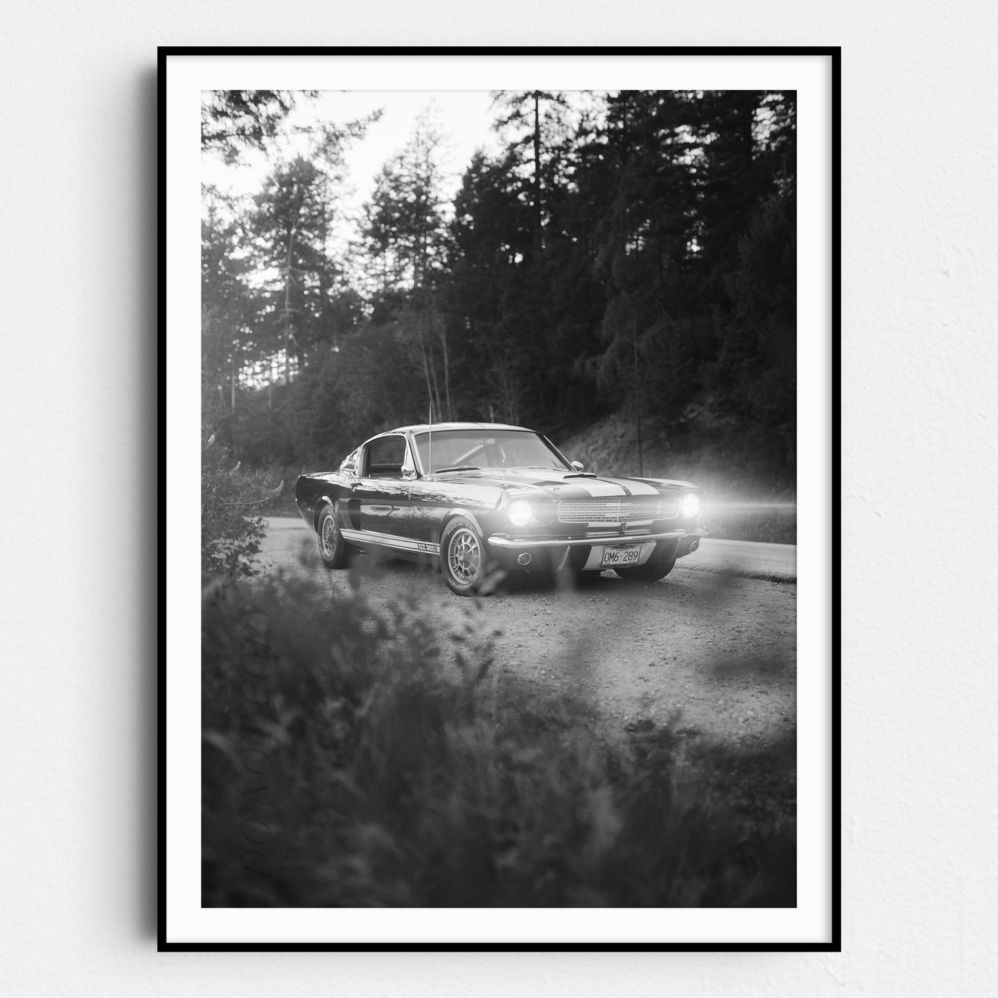 Vintage Ford Mustang Shelby GT500 on a Country Road