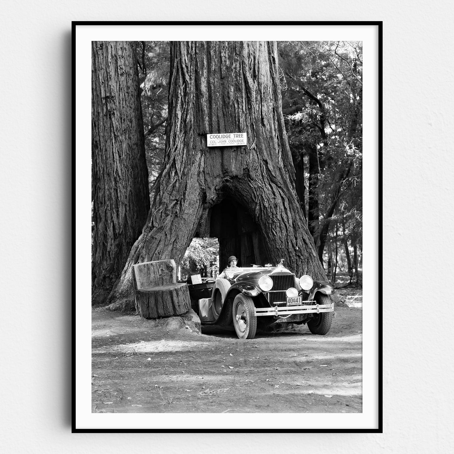 Woman Driving Convertible Through Giant Sequoia Tree Trunk