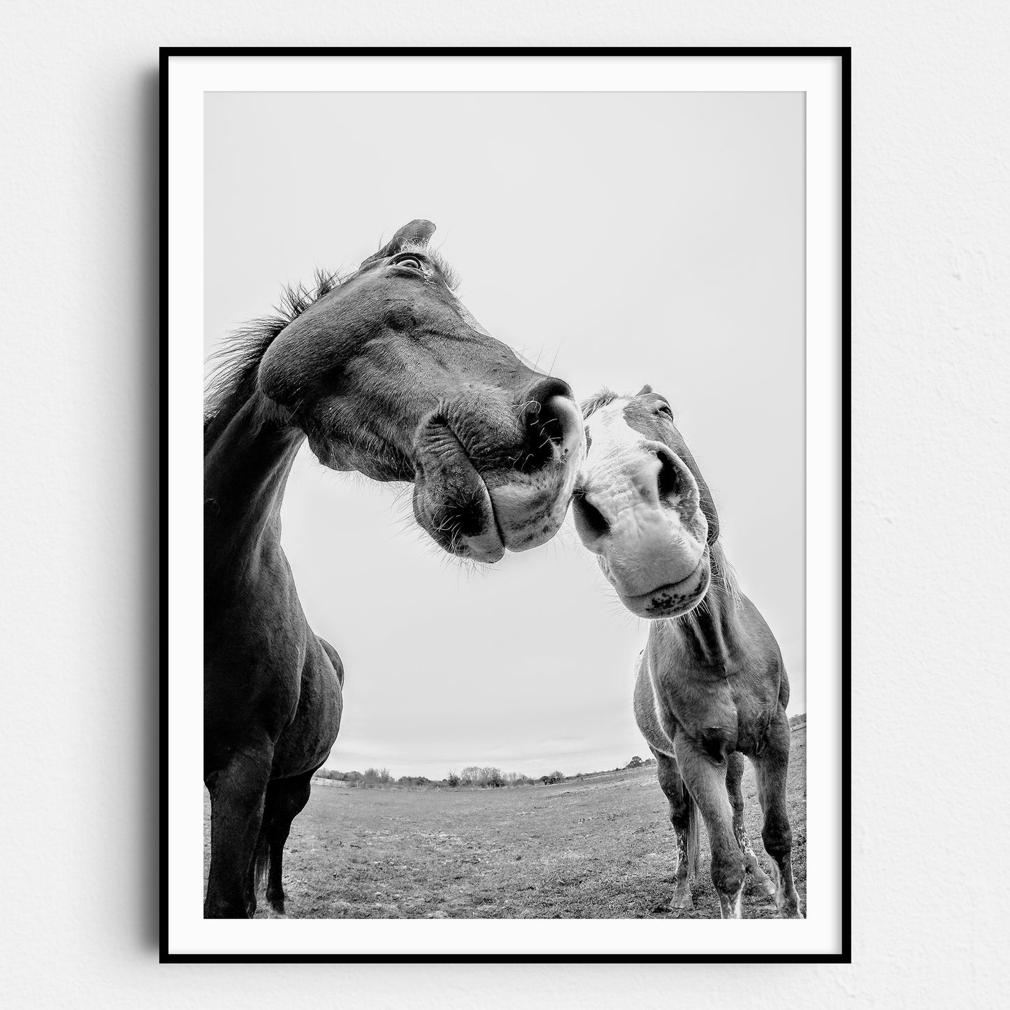 Horses