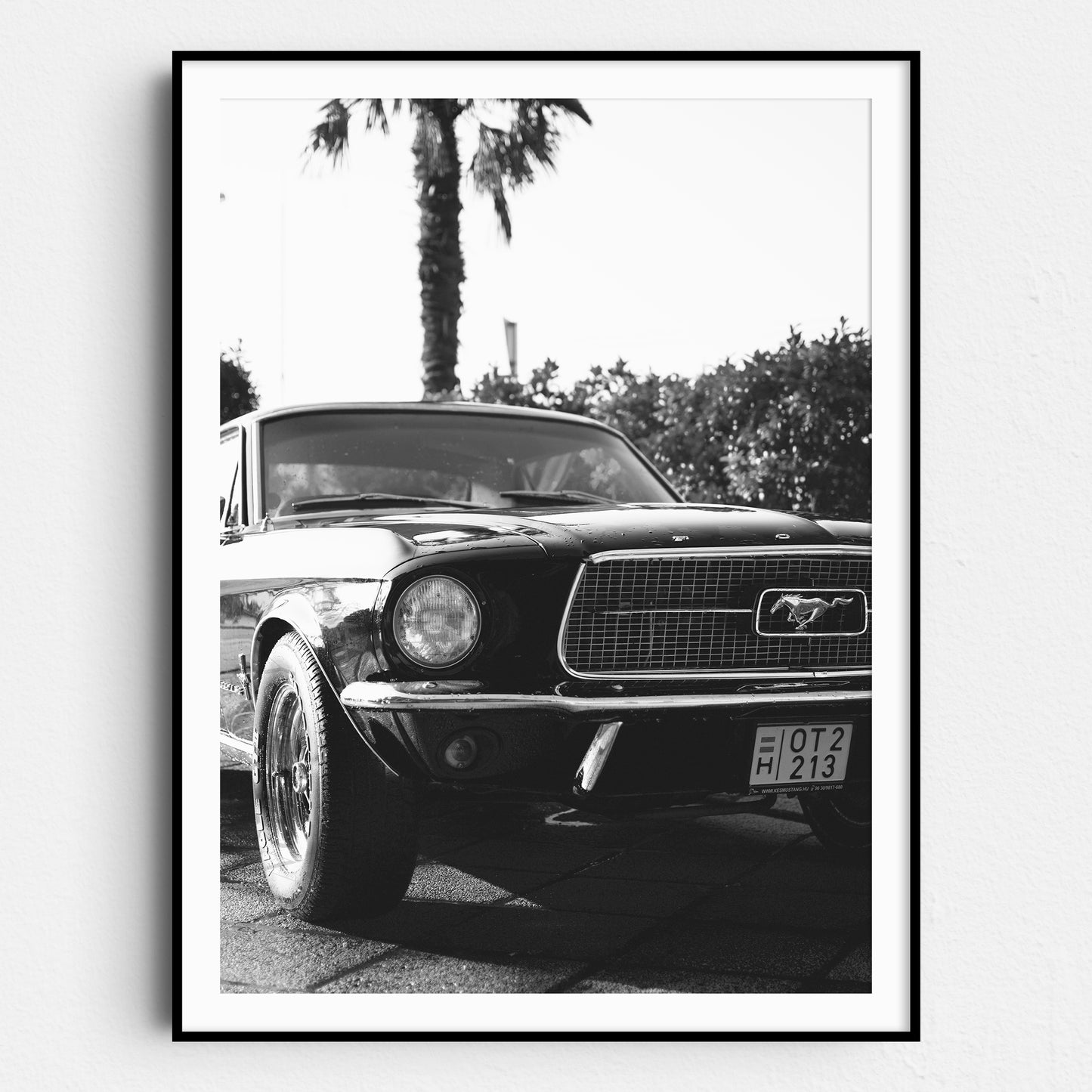 Vintage Ford Mustang and Palm Trees