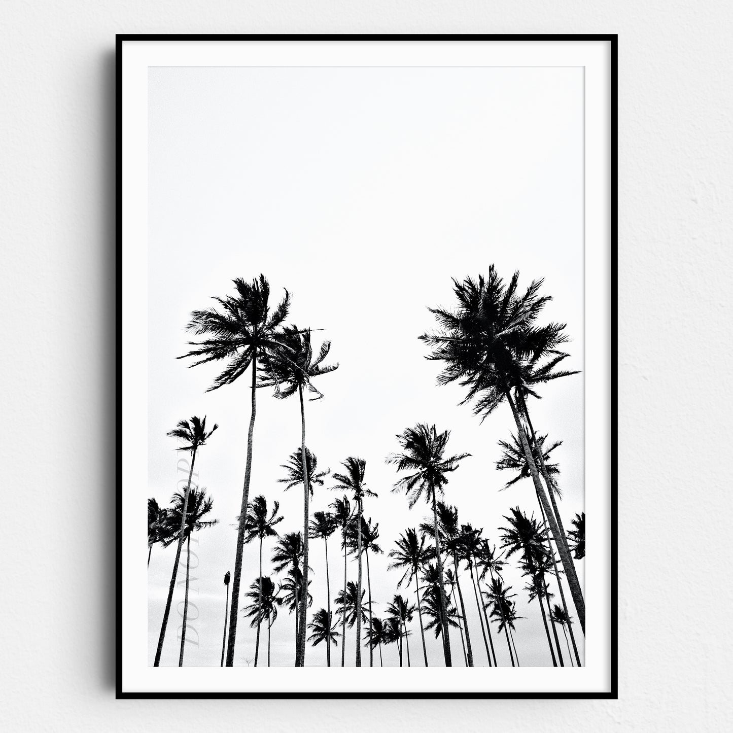 Vintage Palm Trees