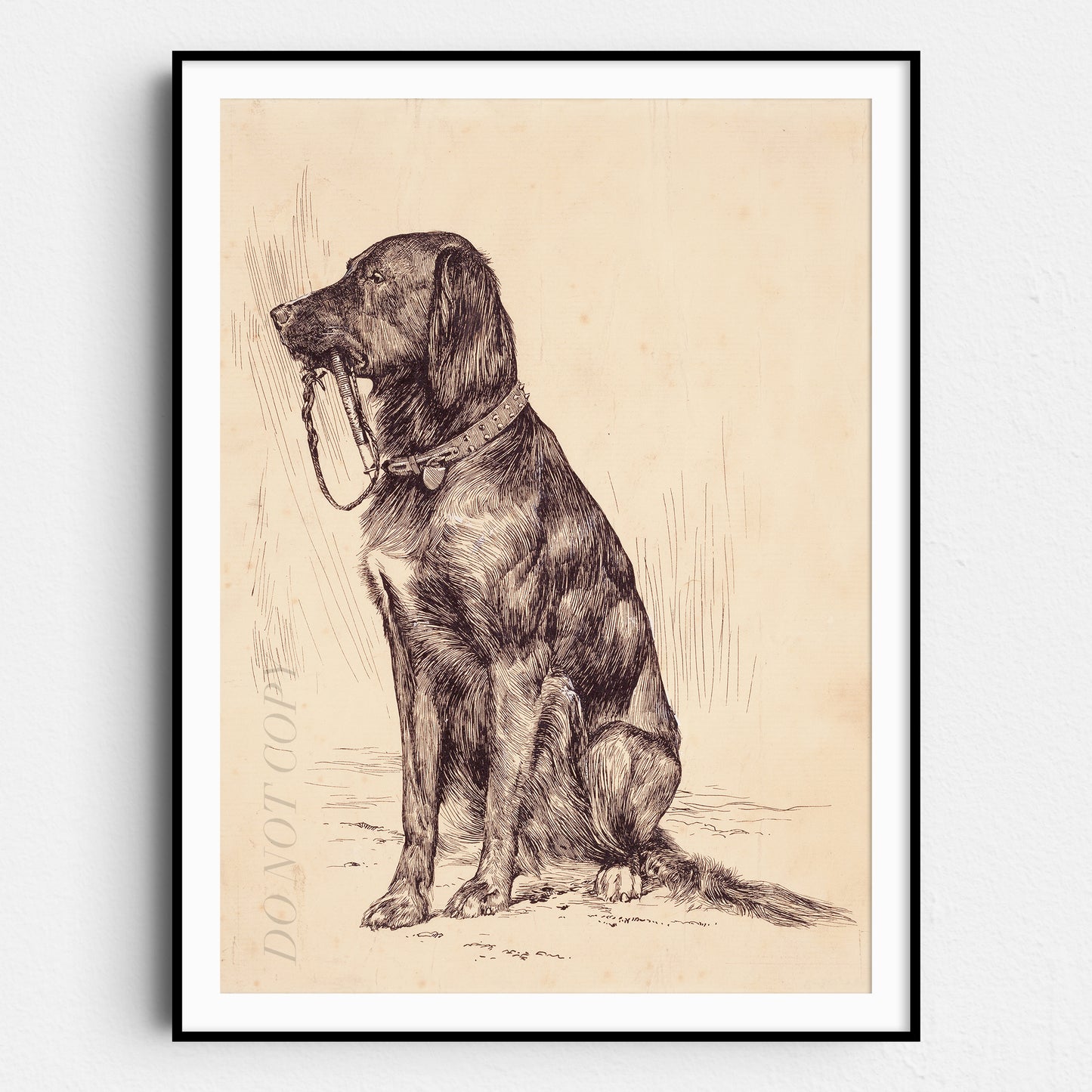 Vintage Dog Portrait