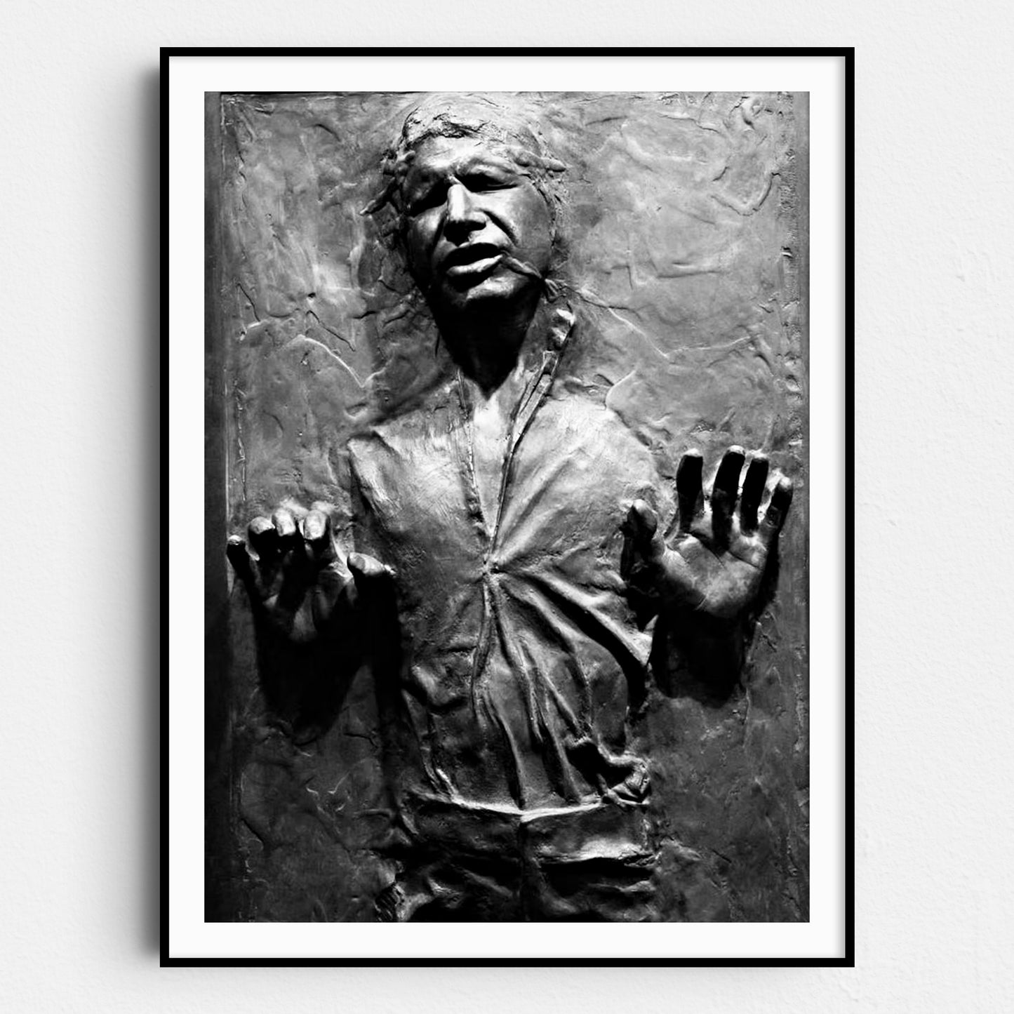 Han Solo In Carbonite