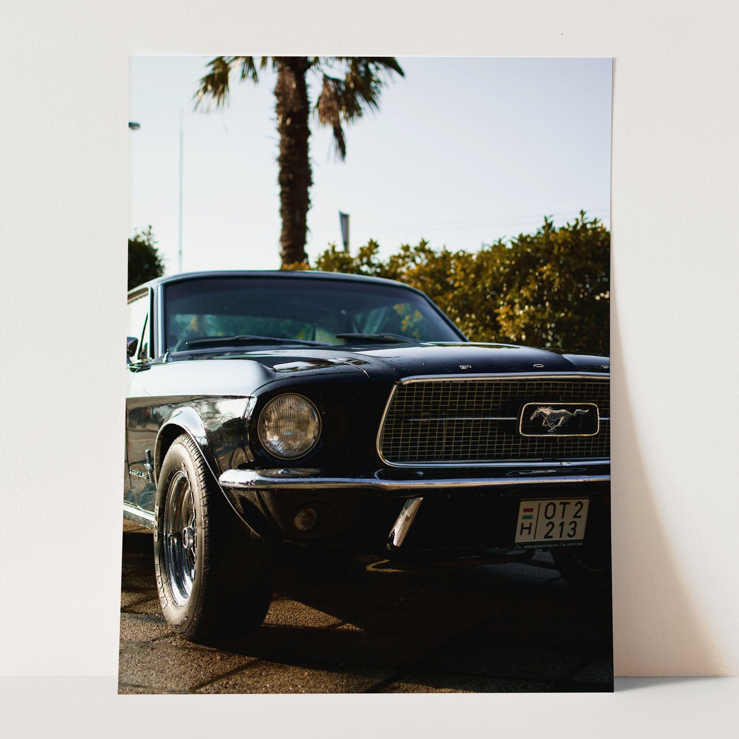 Vintage Ford Mustang and Palm Trees