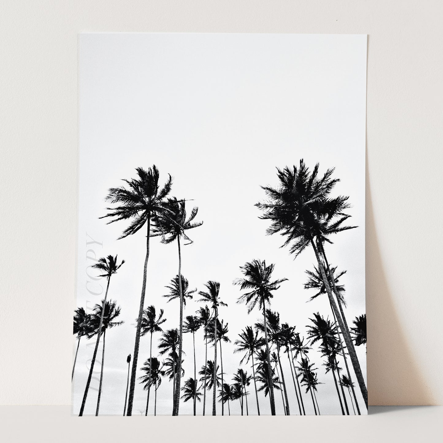 Vintage Palm Trees