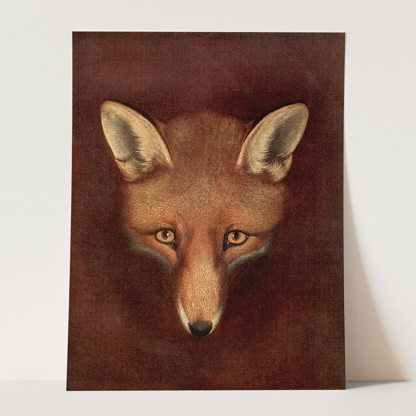 Fox Head by Reinagle