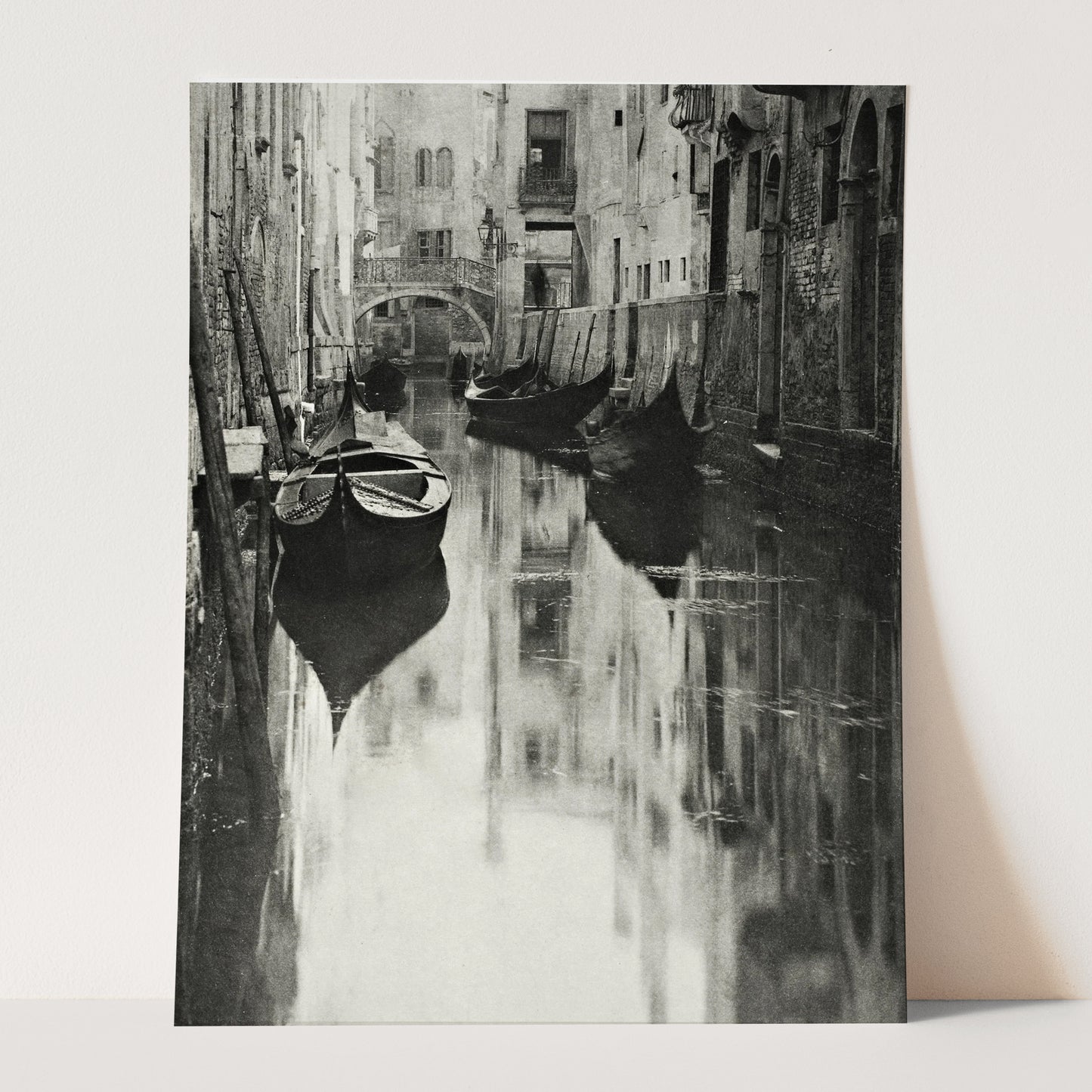 Venice 1894