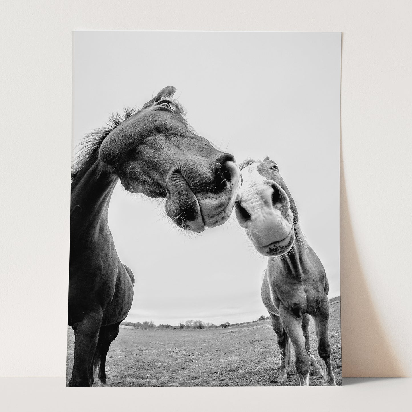 Horses