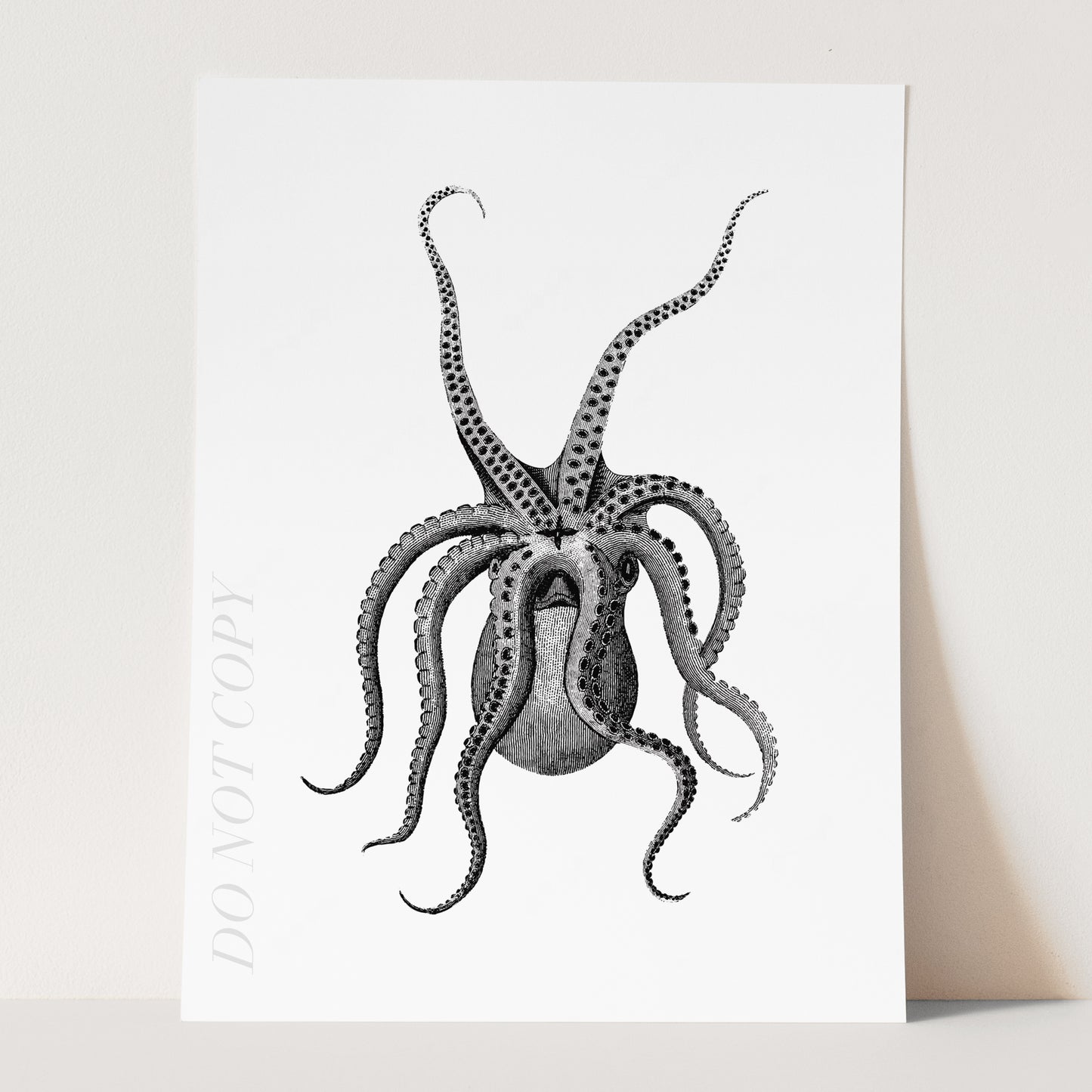 Eight Armed Cuttlefish Illustration