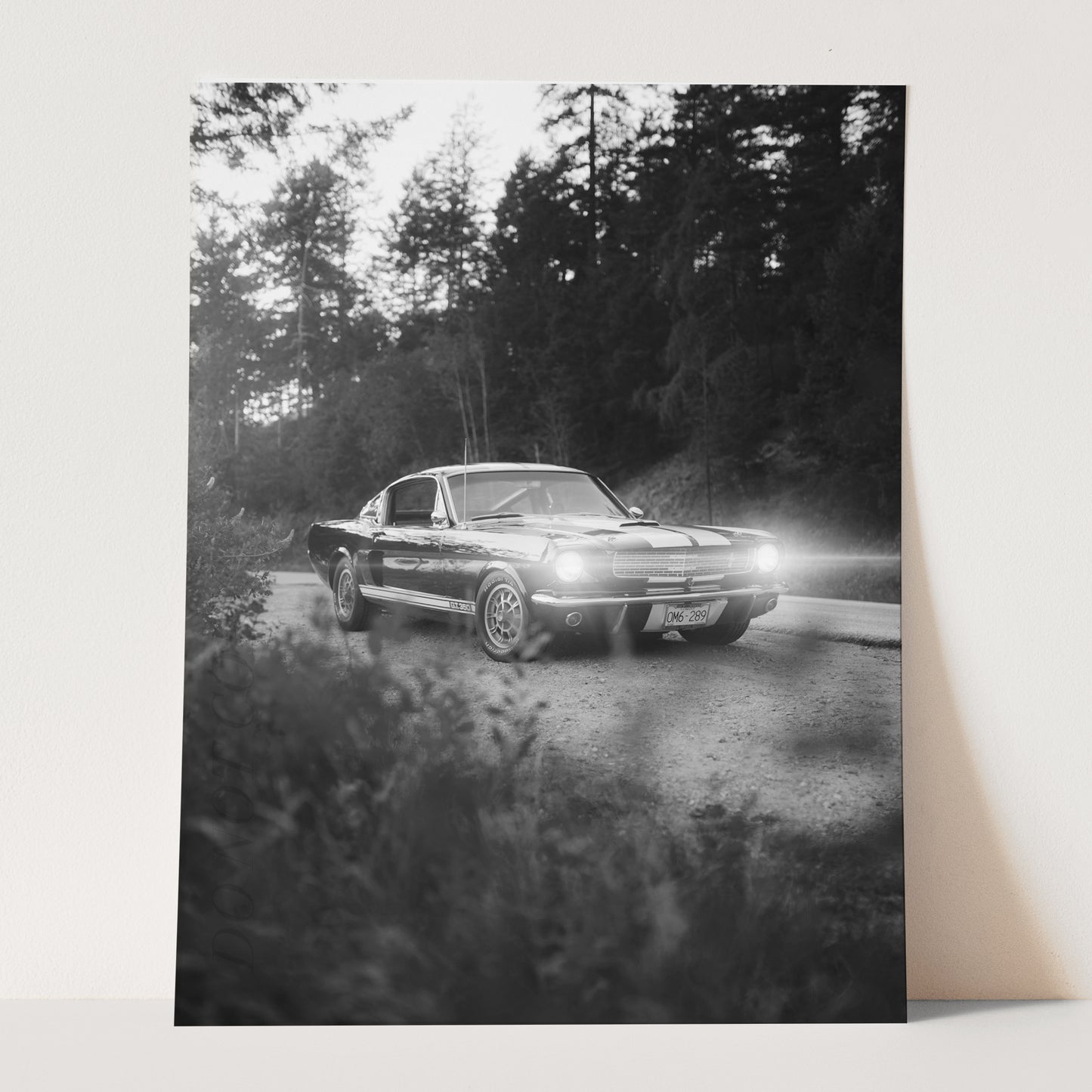 Vintage Ford Mustang Shelby GT500 on a Country Road