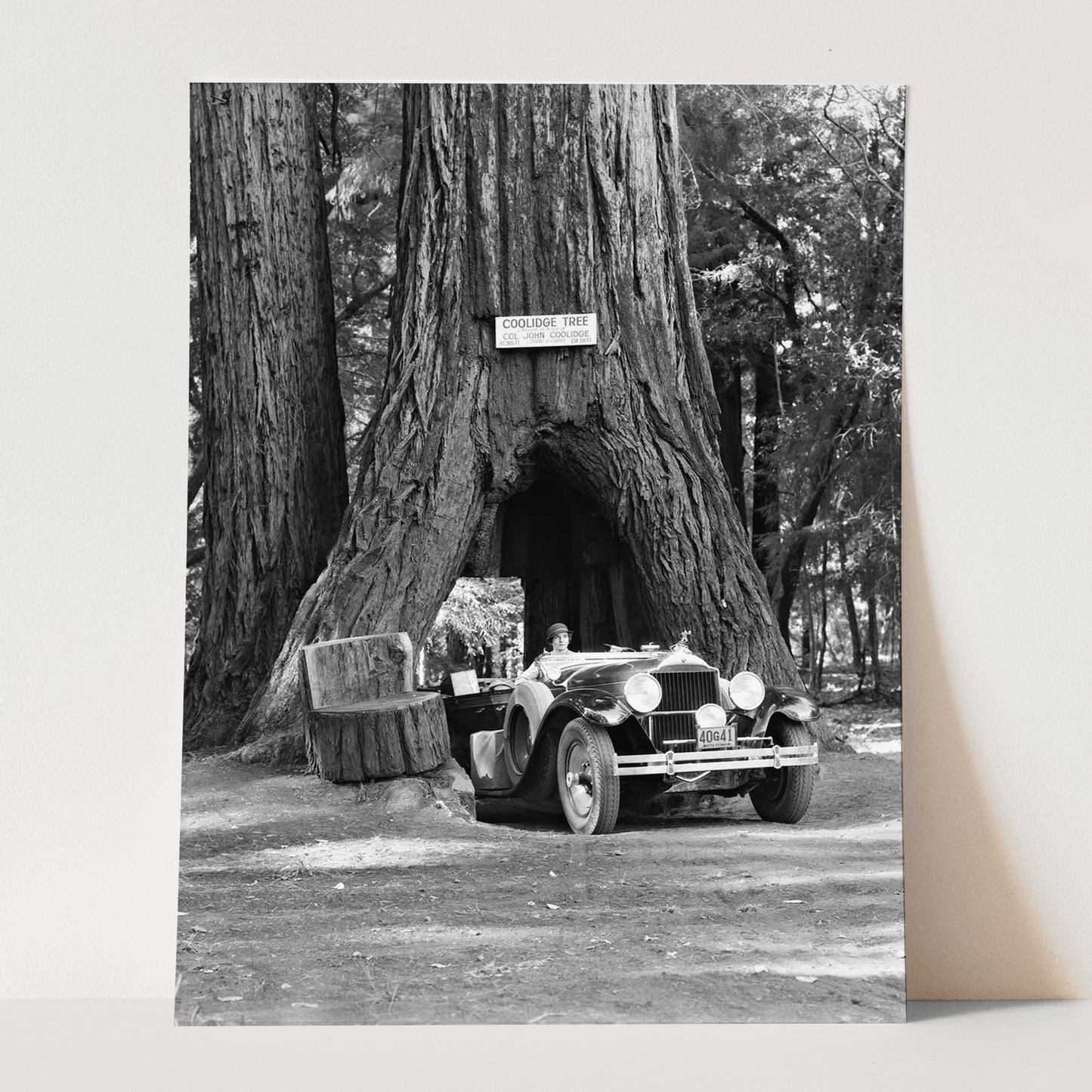 Woman Driving Convertible Through Giant Sequoia Tree Trunk