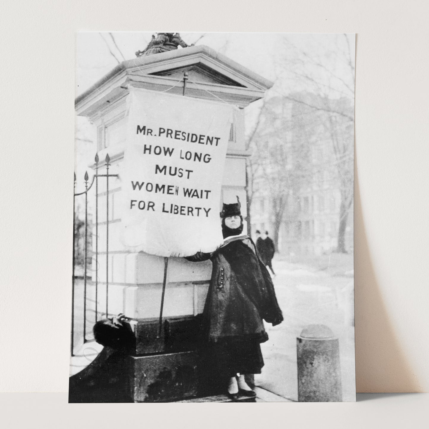 Women's Suffrage - Protest the President, Women's Rights 1917