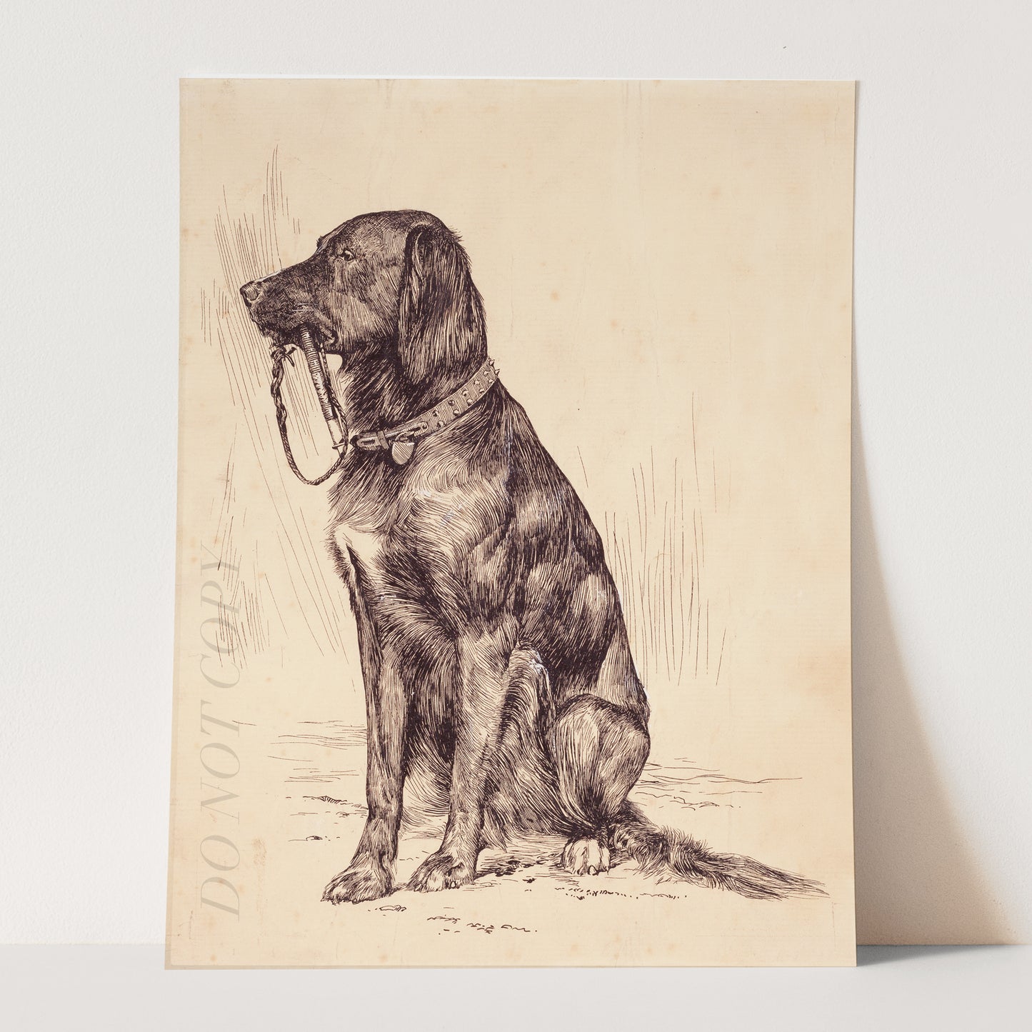 Vintage Dog Portrait