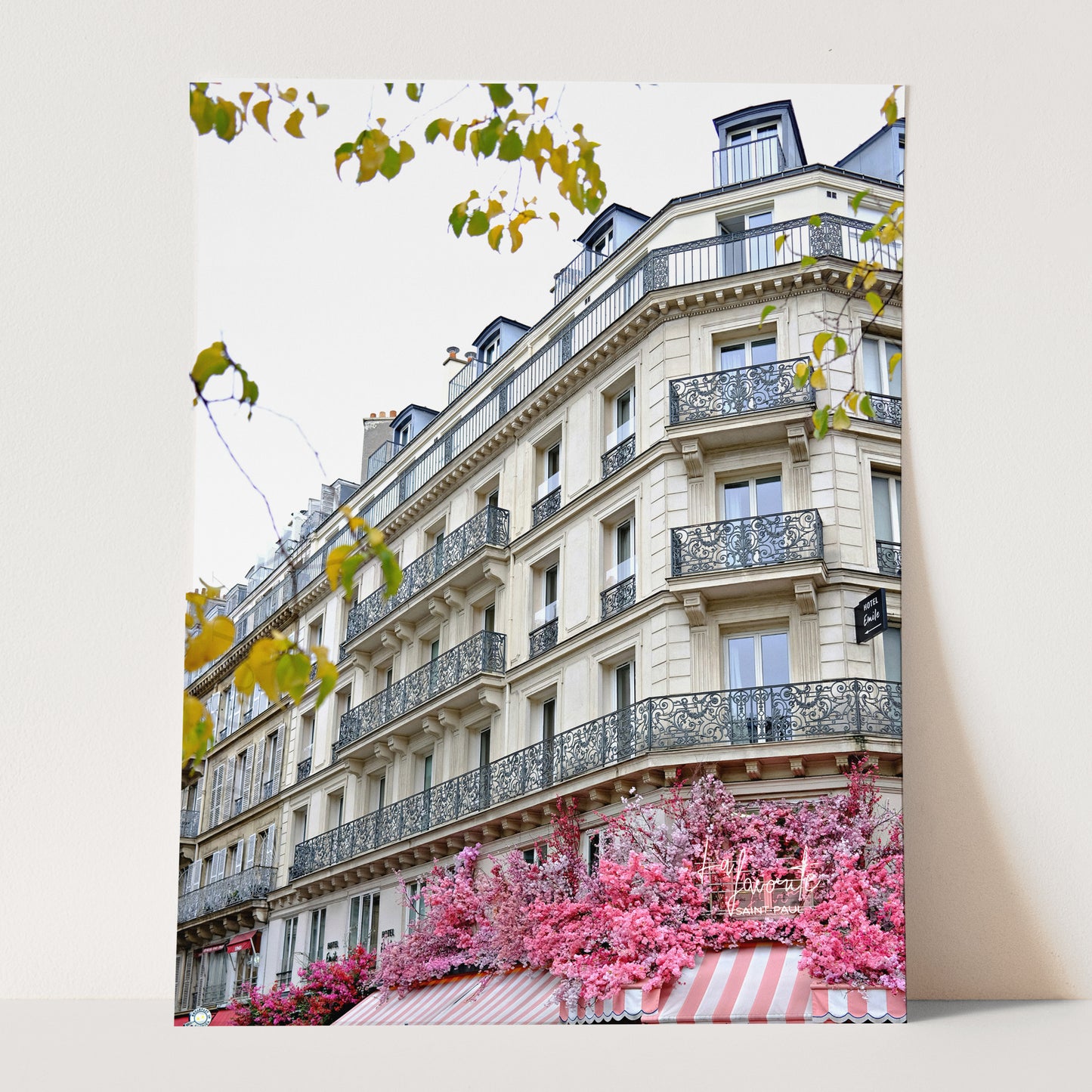 Paris in the Fall
