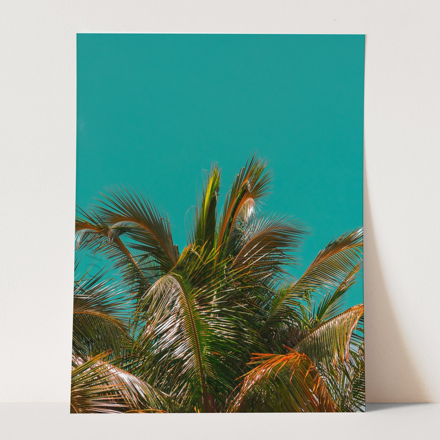 Palm Tree - Aqua
