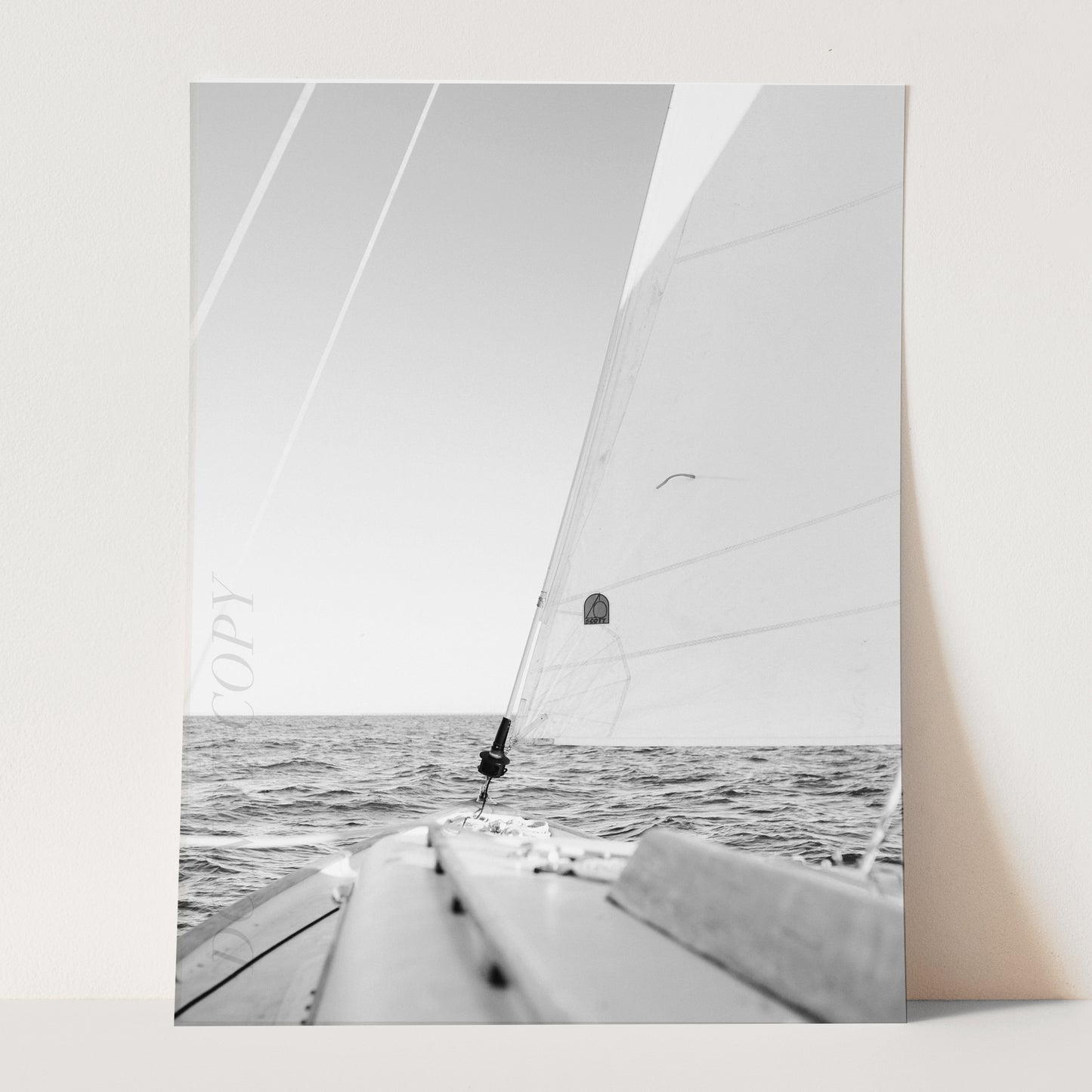 Sailing Afternoon