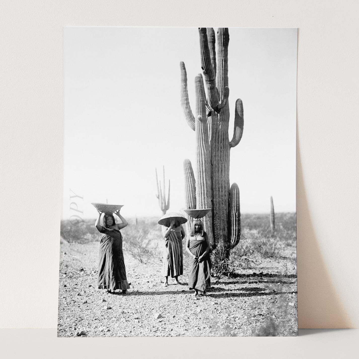 Saguaro Gatherers, Maricopa, Arizona (1907) by Edward Curtis
