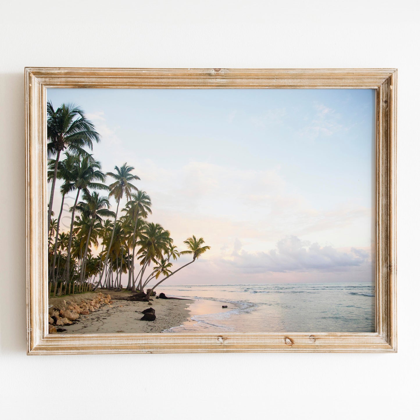 Beach Palm Trees Ocean Sunset