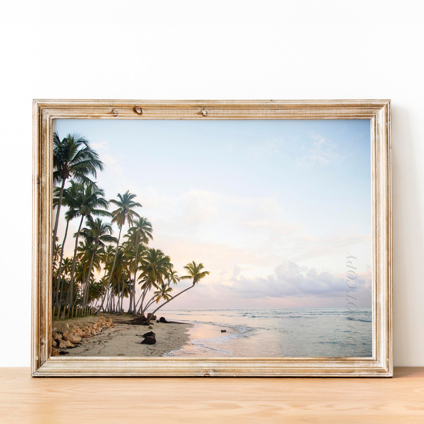 Beach Palm Trees Ocean Sunset