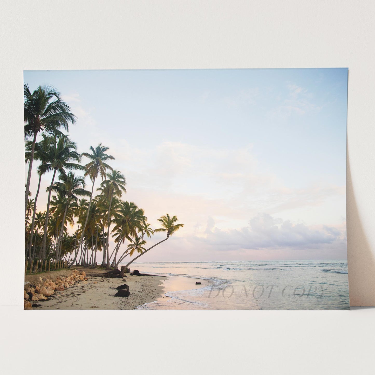Beach Palm Trees Ocean Sunset