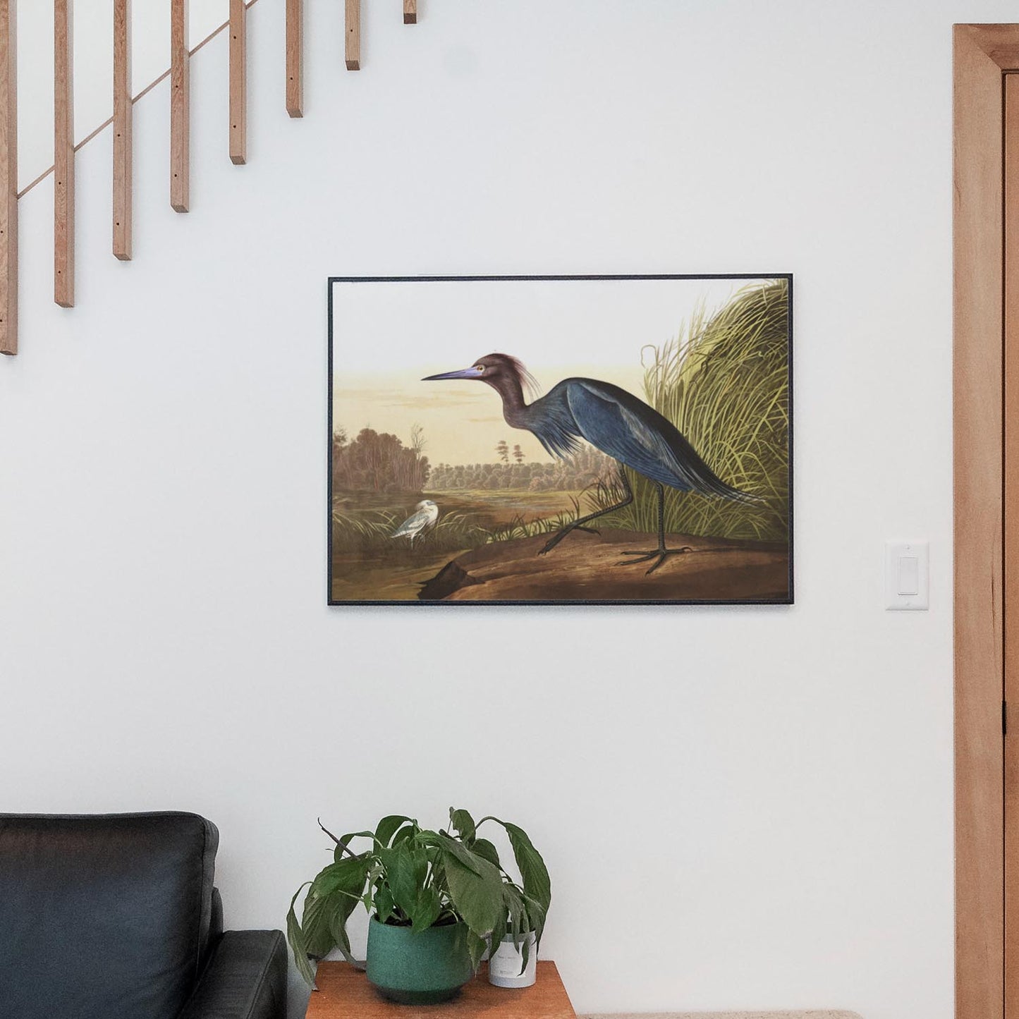 Blue Crane or Heron