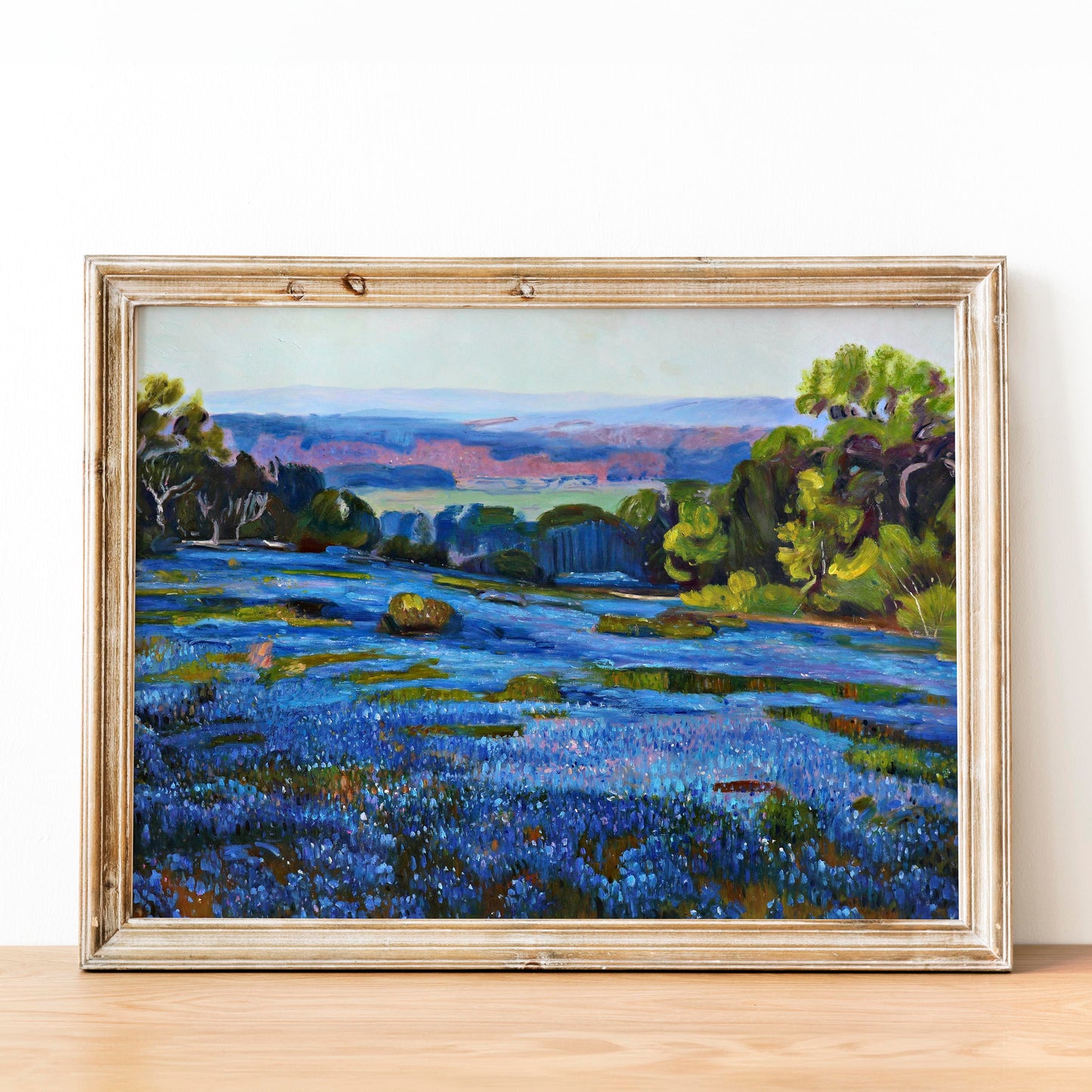 Bluebonnets at Late Afternoon