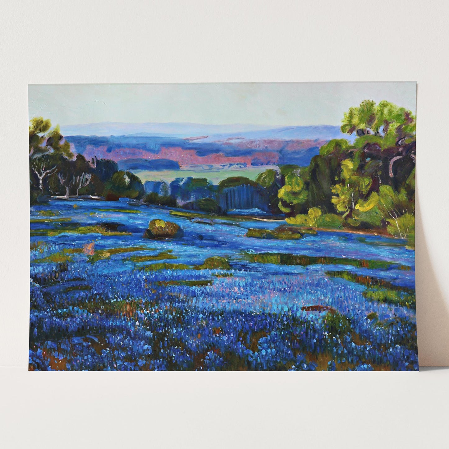Bluebonnets at Late Afternoon