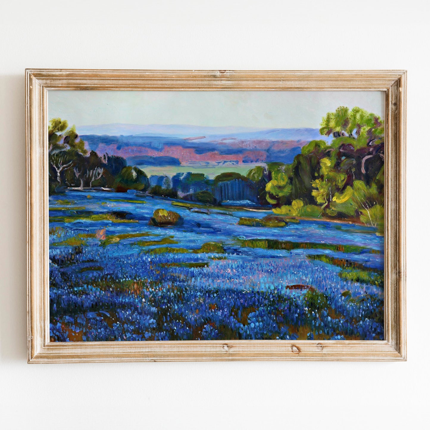 Bluebonnets at Late Afternoon