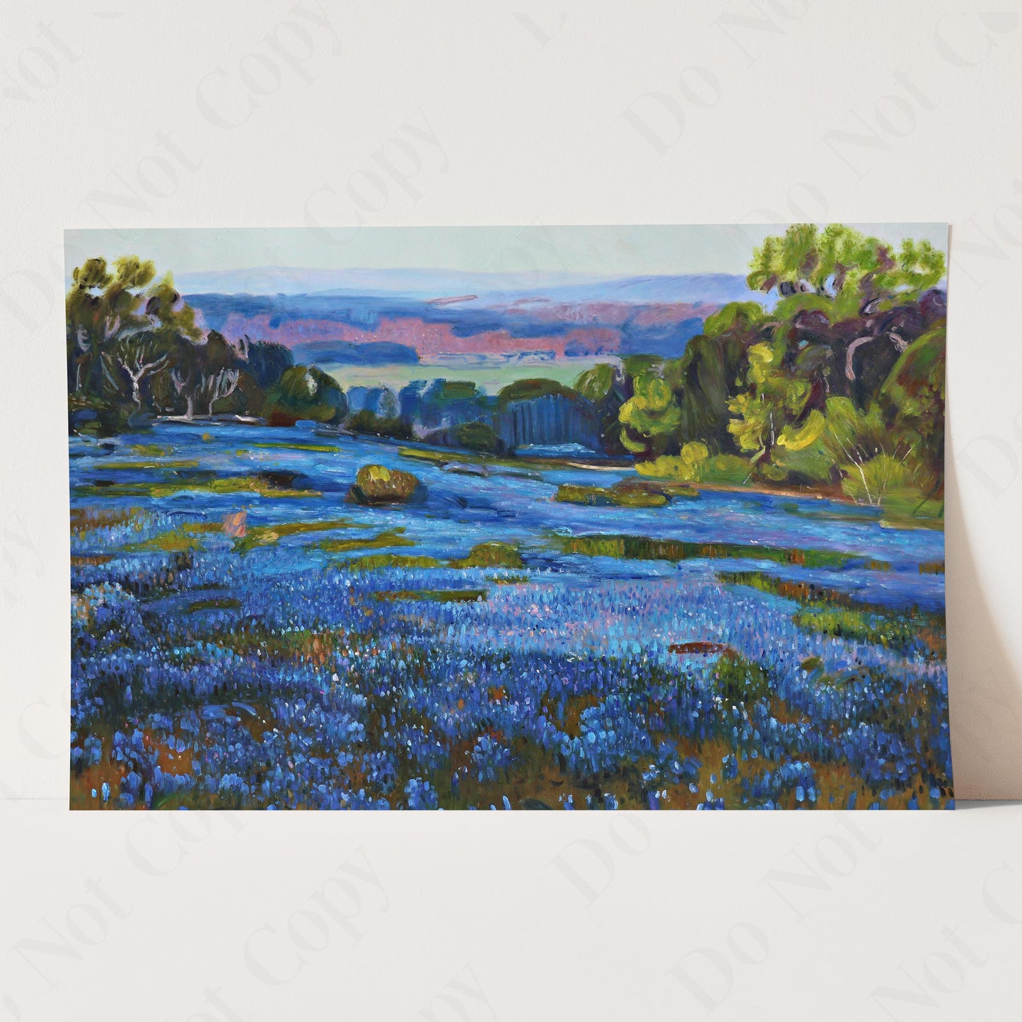 Bluebonnets, Late Afternoon, North of San Antonio