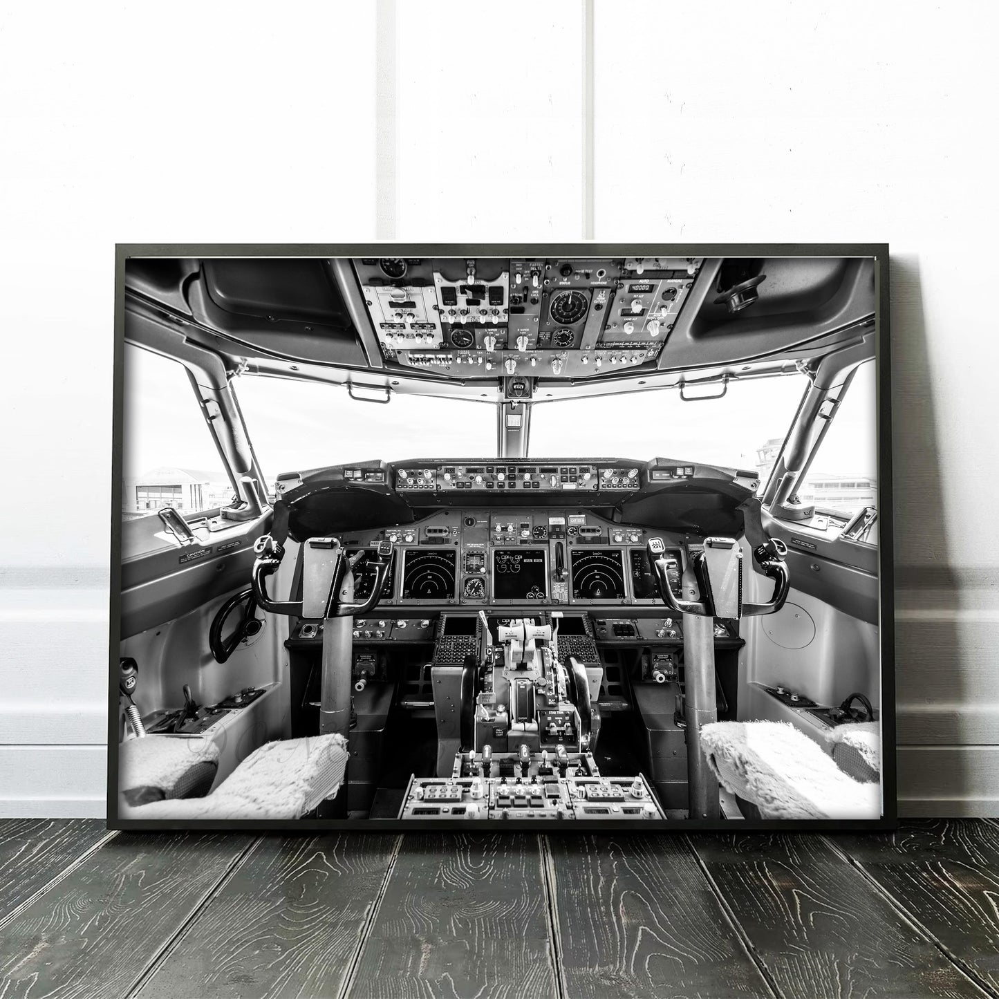 Boeing 737-800 Cockpit