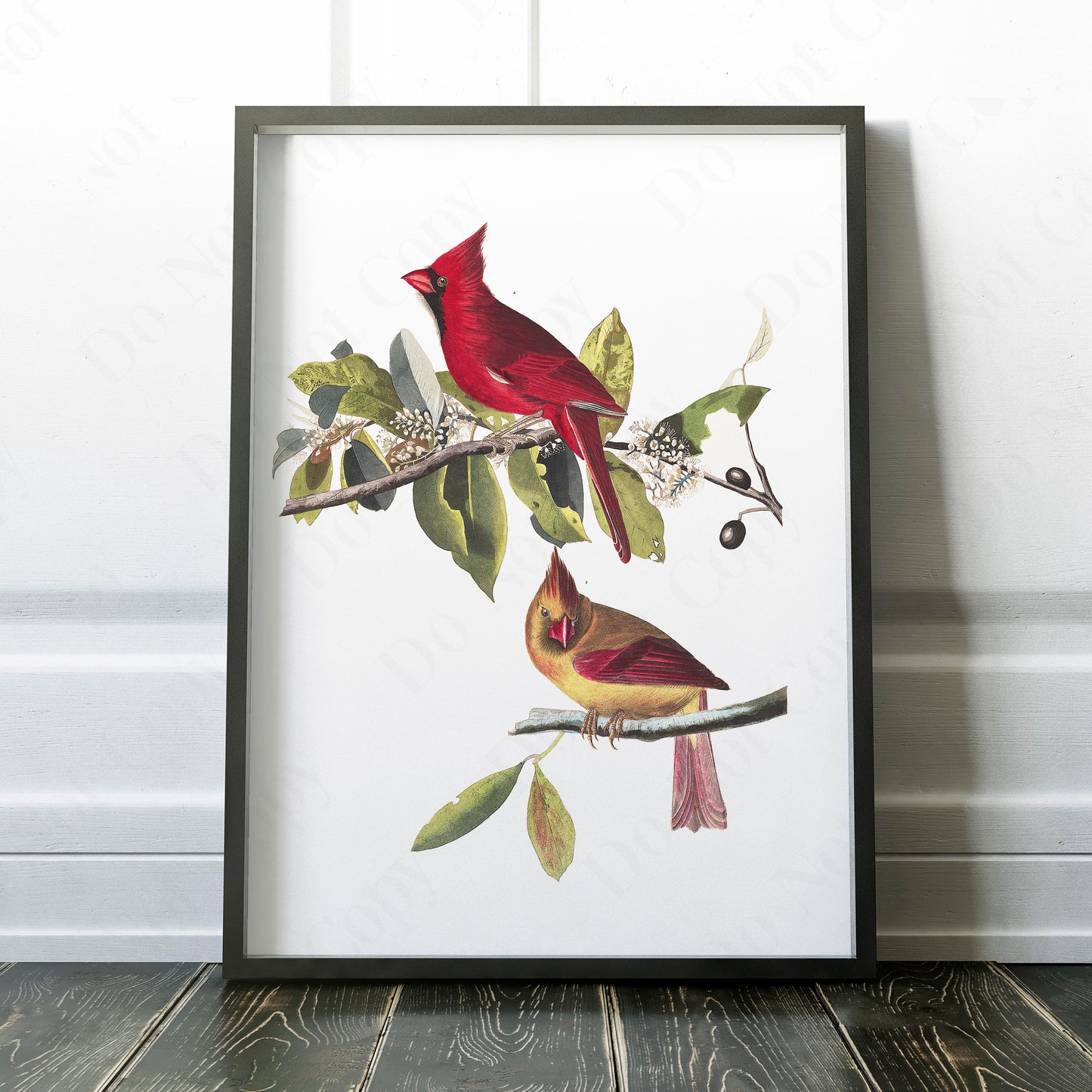 Cardinal Grosbeak