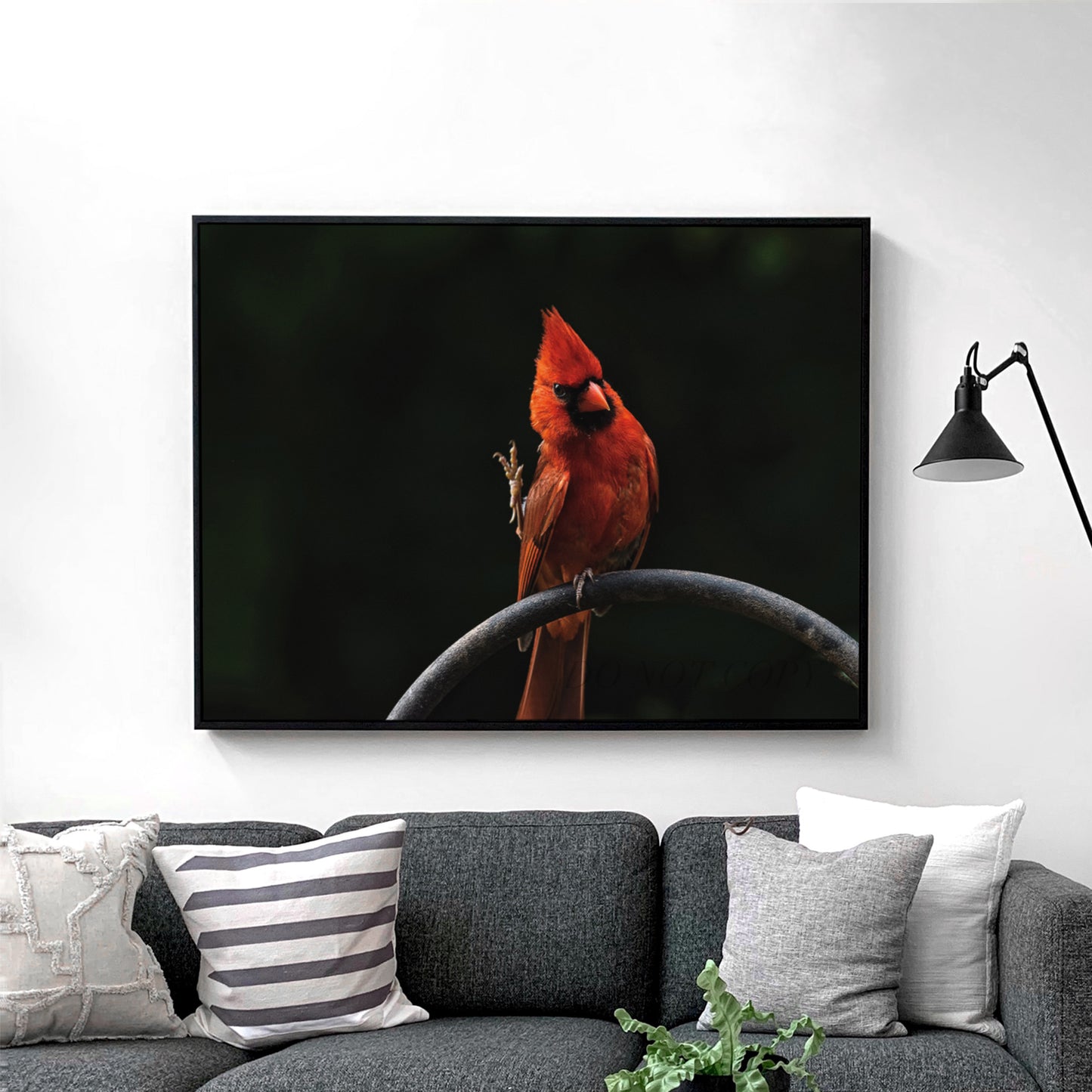 Cardinal