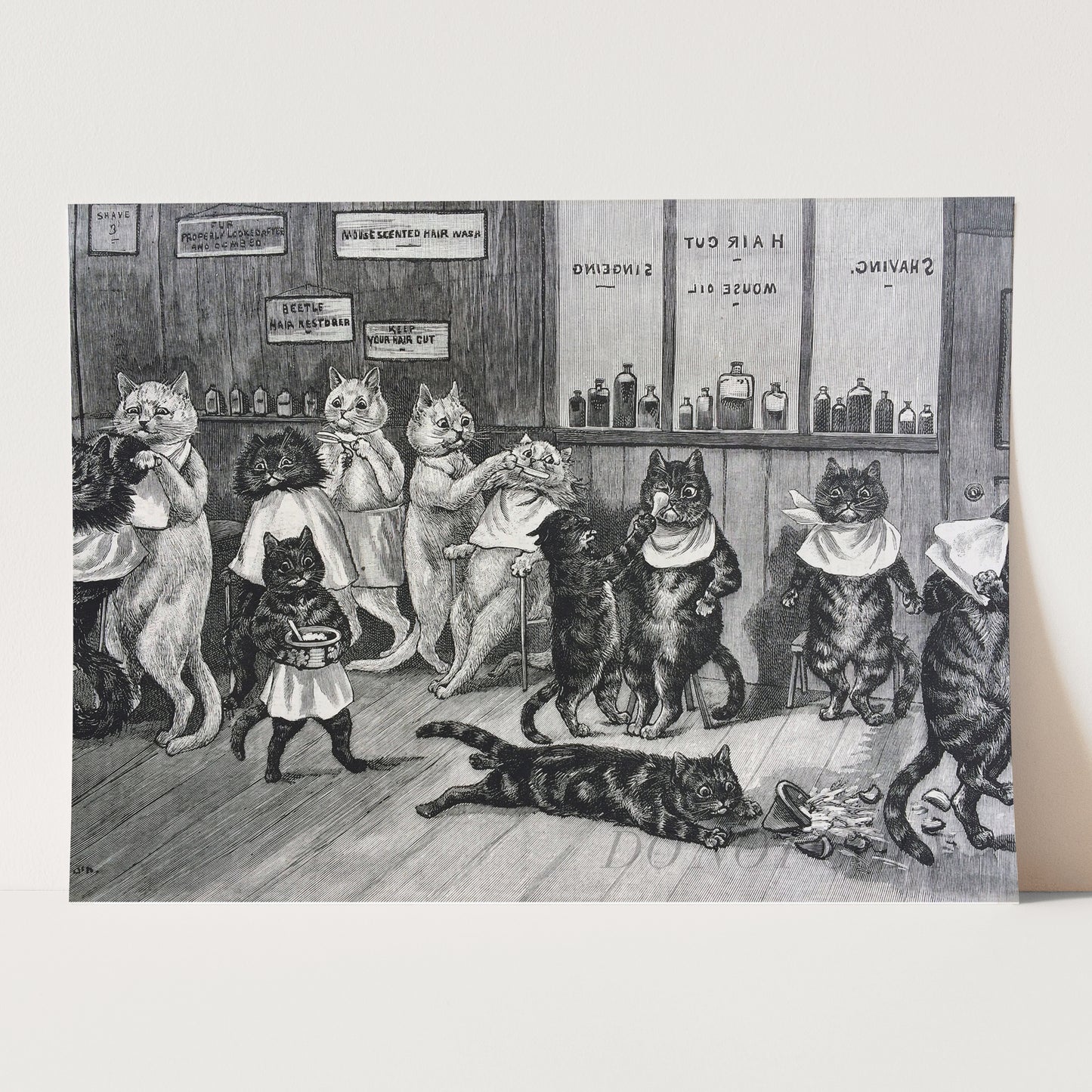 Cats at the Barber