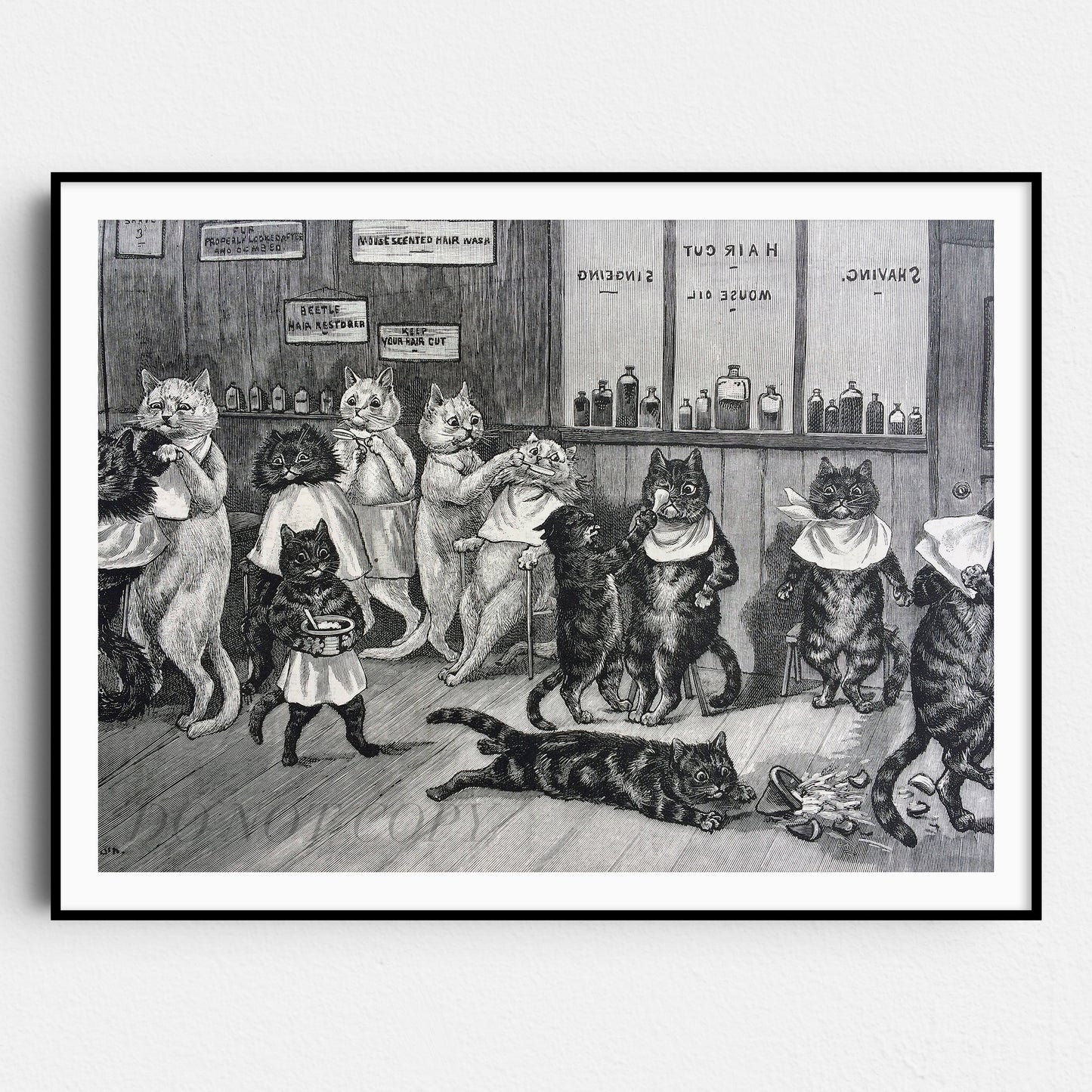 Cats at the Barber