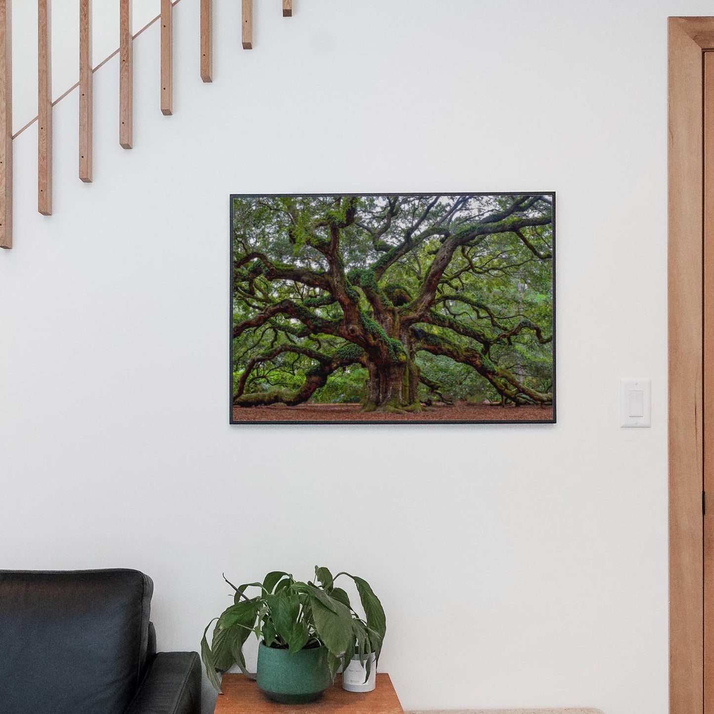 Charleston Angel Oak Tree South Carolina
