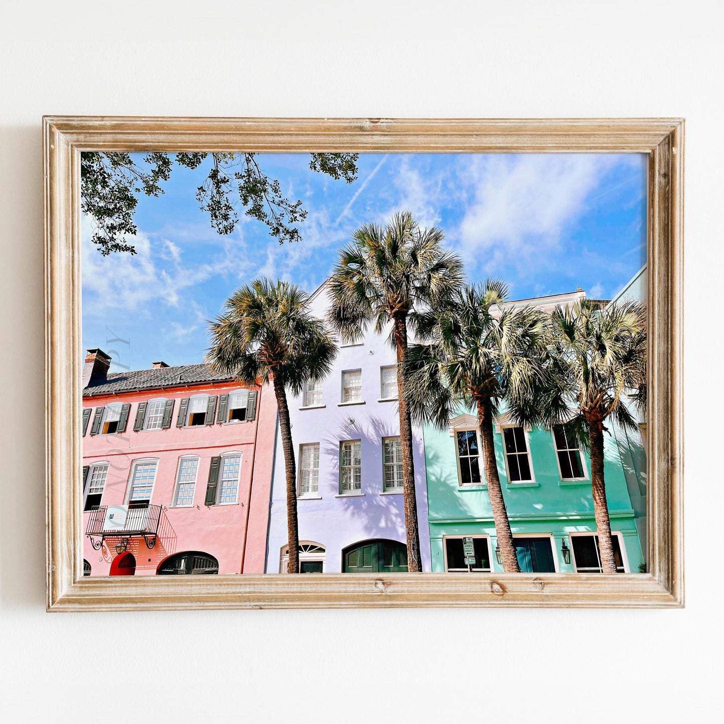 Charleston Rainbow Row