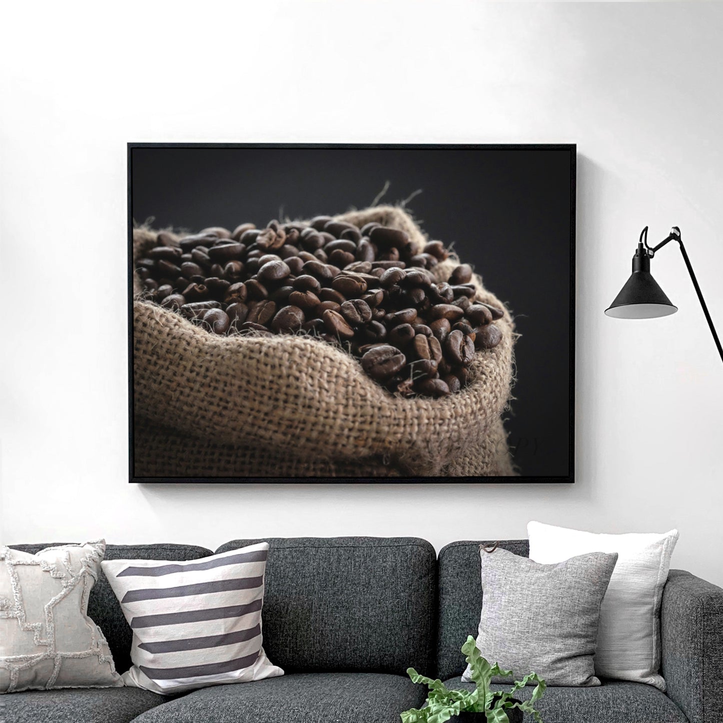 Coffee Beans