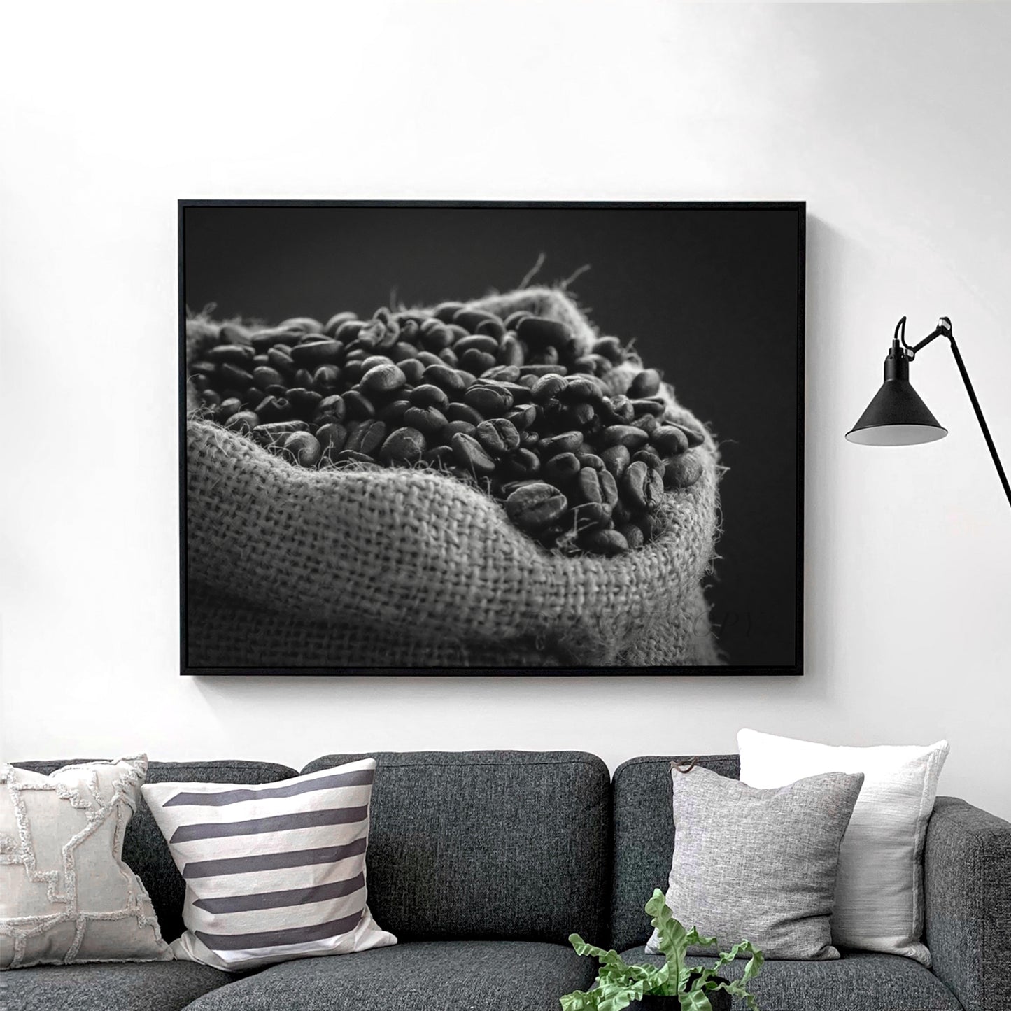Coffee Beans in Black & White