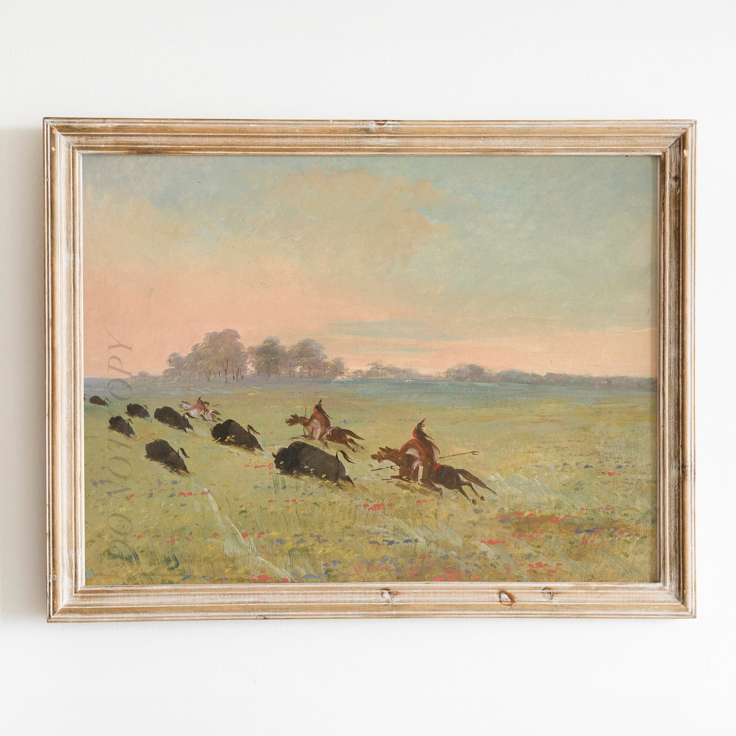 Comanche Indians Chasing Buffalo